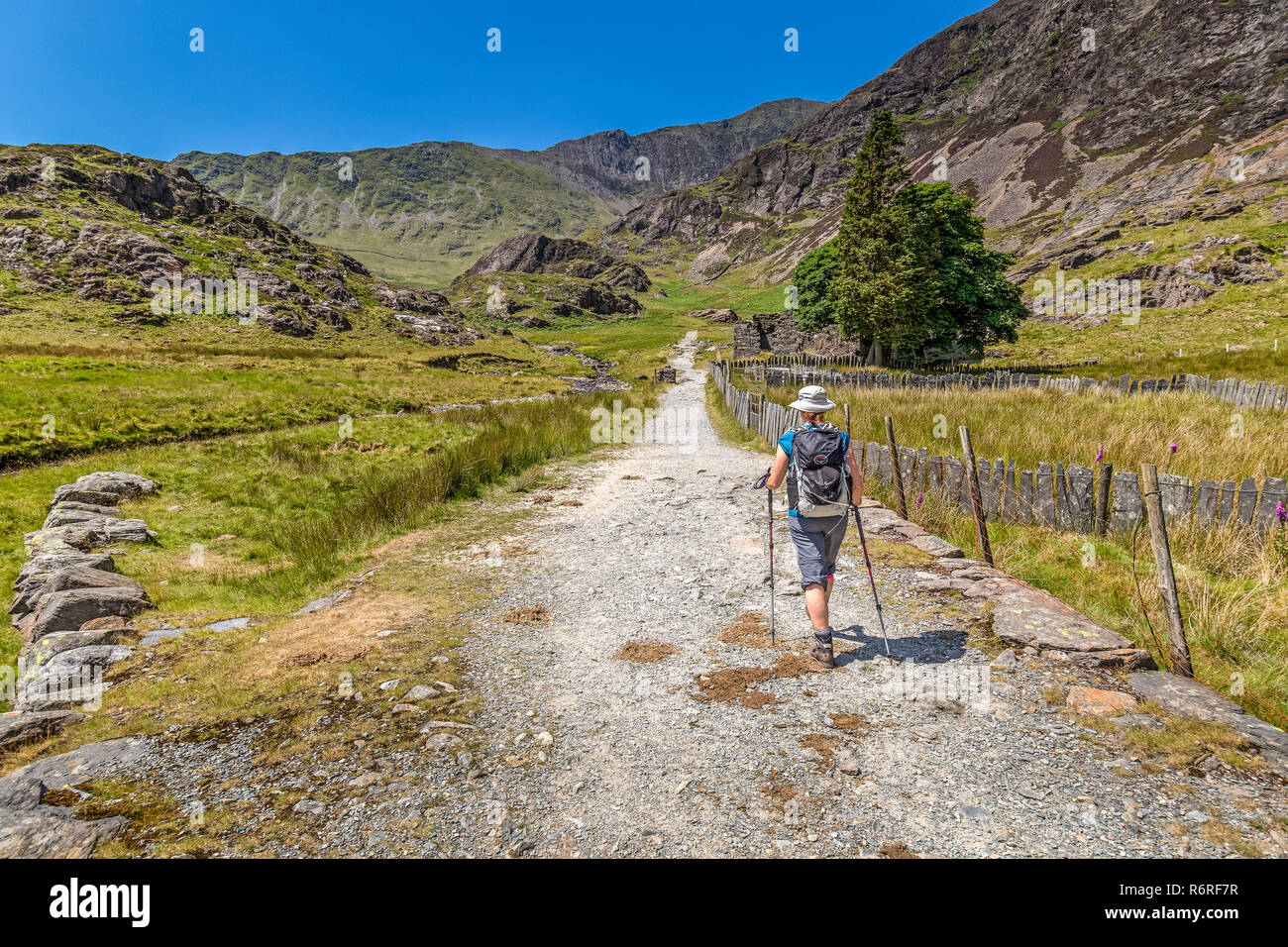 Un female hiker remontant la Watkin Path vers le sommet du Snowdon, la plus haute montagne dans le parc national de Snowdonia au Pays de Galles. Banque D'Images