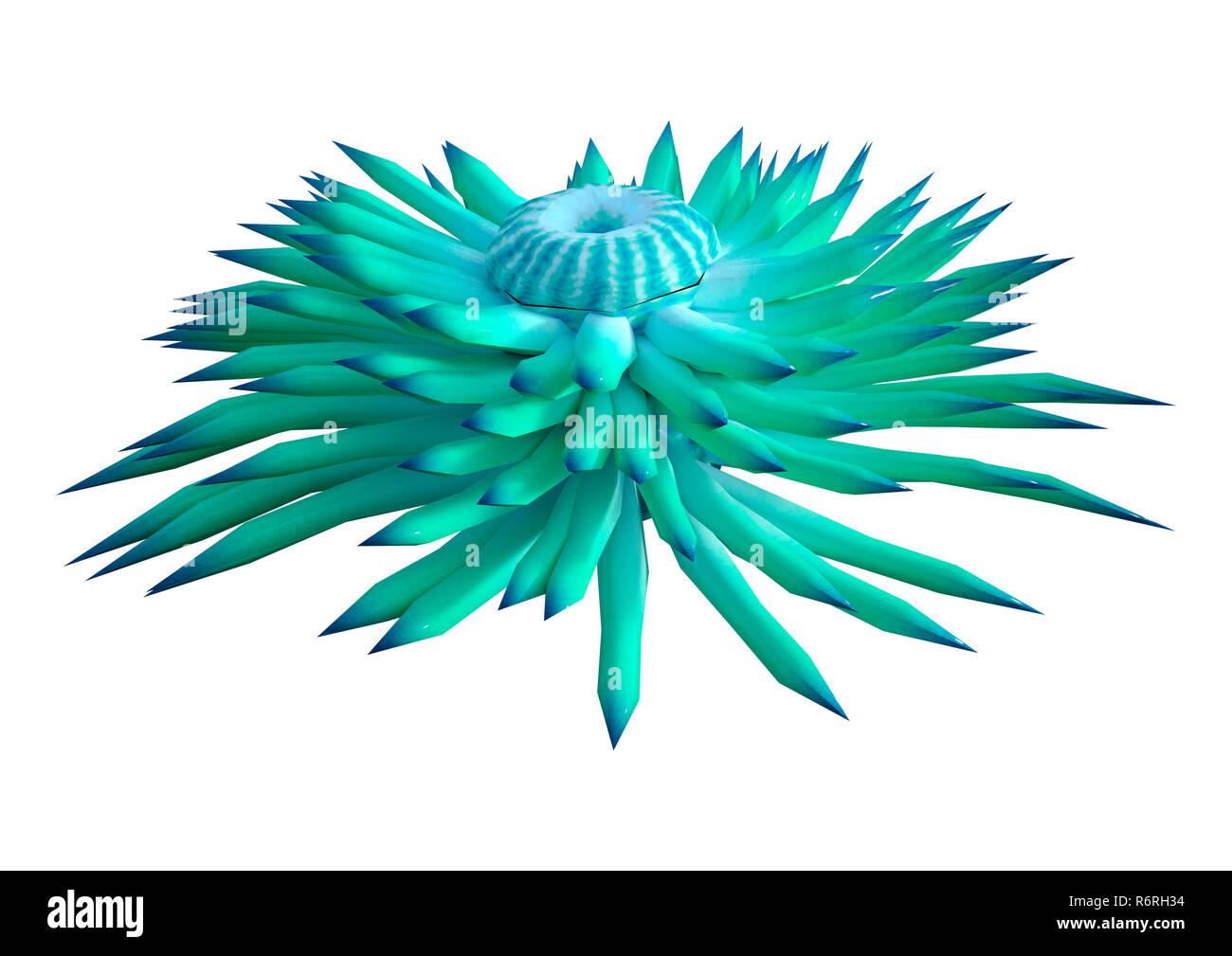 Le rendu 3D d'une anémone de mer vert isolé sur fond blanc Banque D'Images