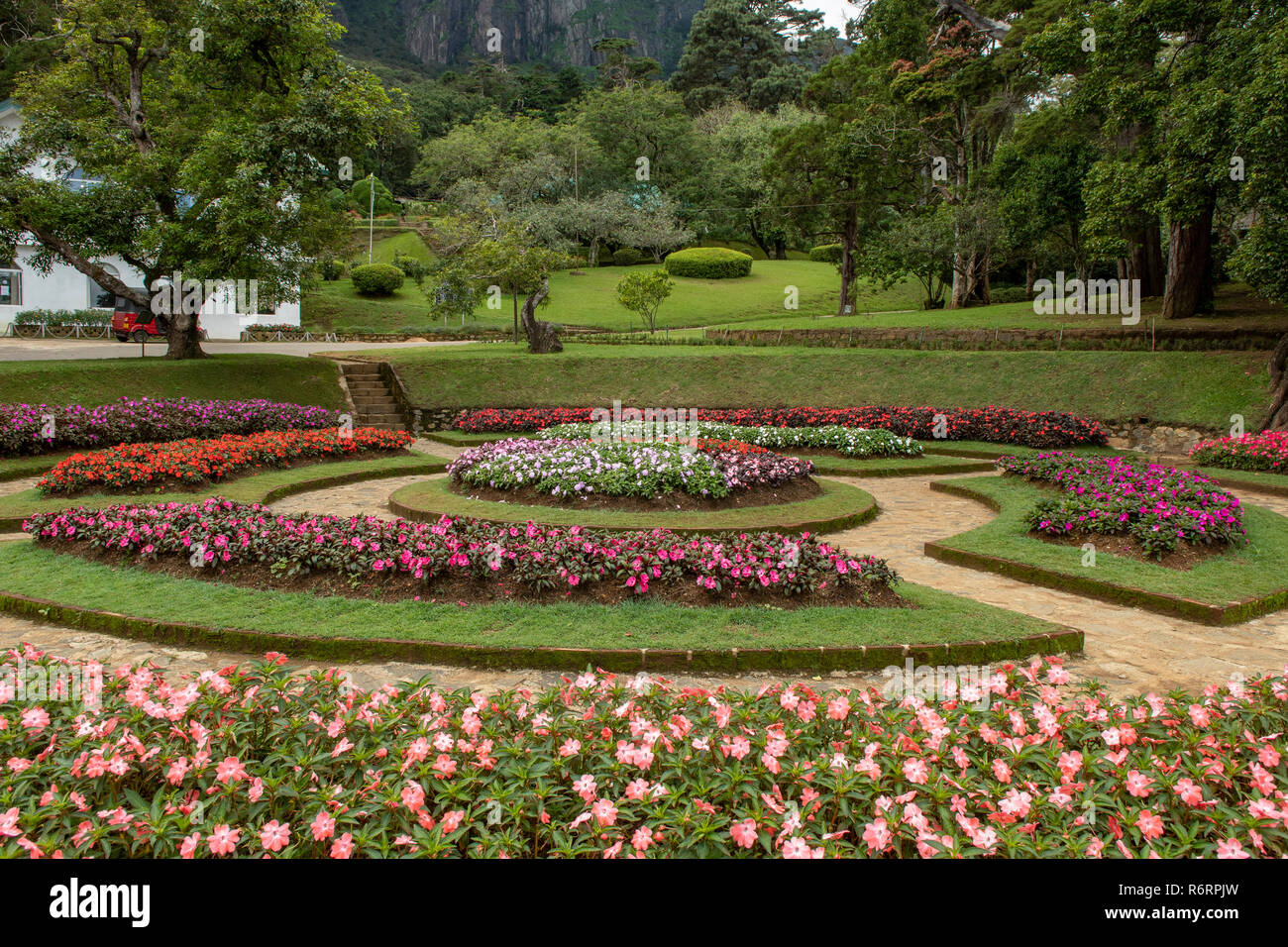 Haggala Jardins Botaniques, Nuwara Eliya, Sri Lanka Banque D'Images