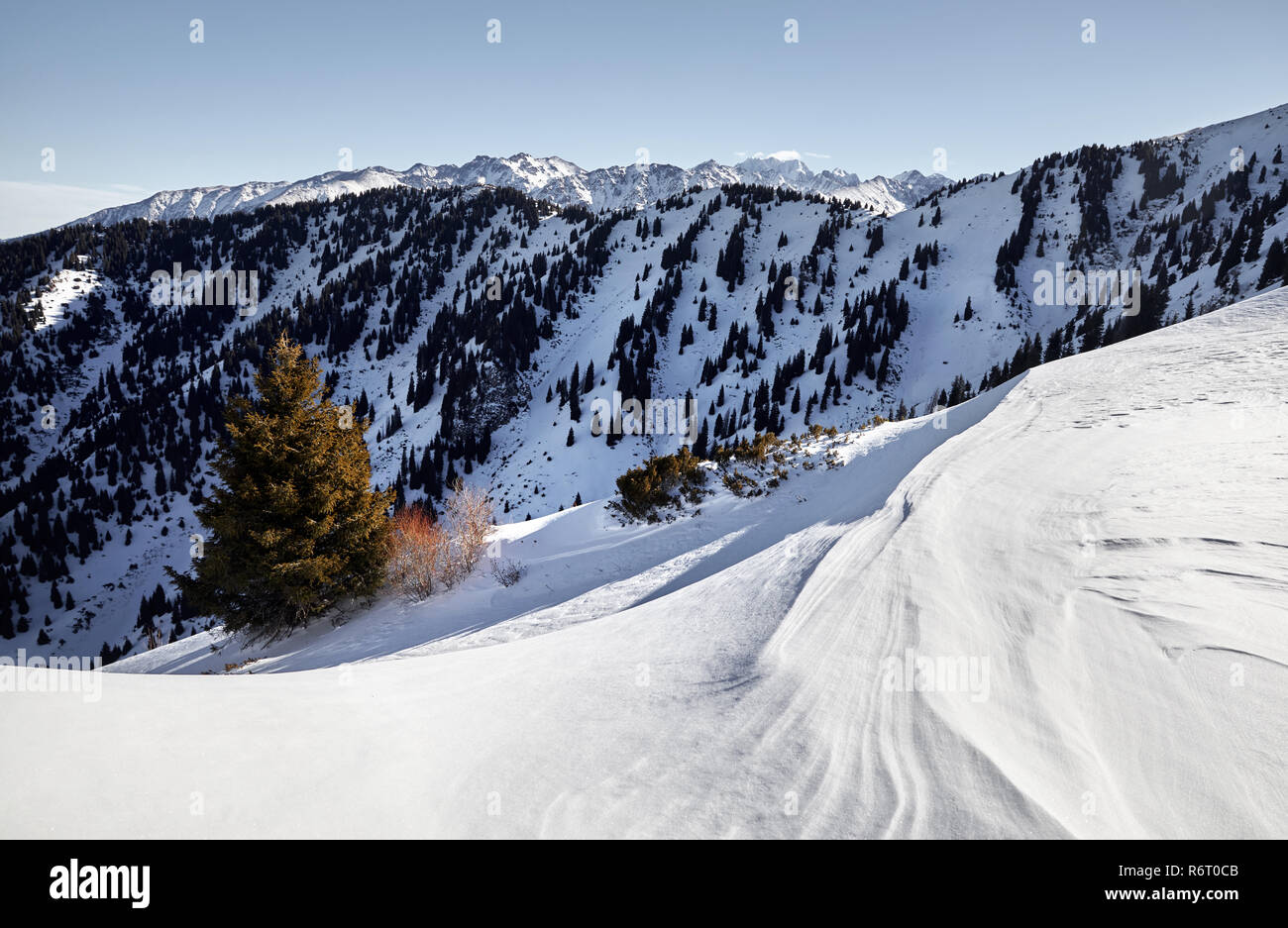De hautes montagnes avec de la neige et des sommets à l'heure d'hiver Banque D'Images