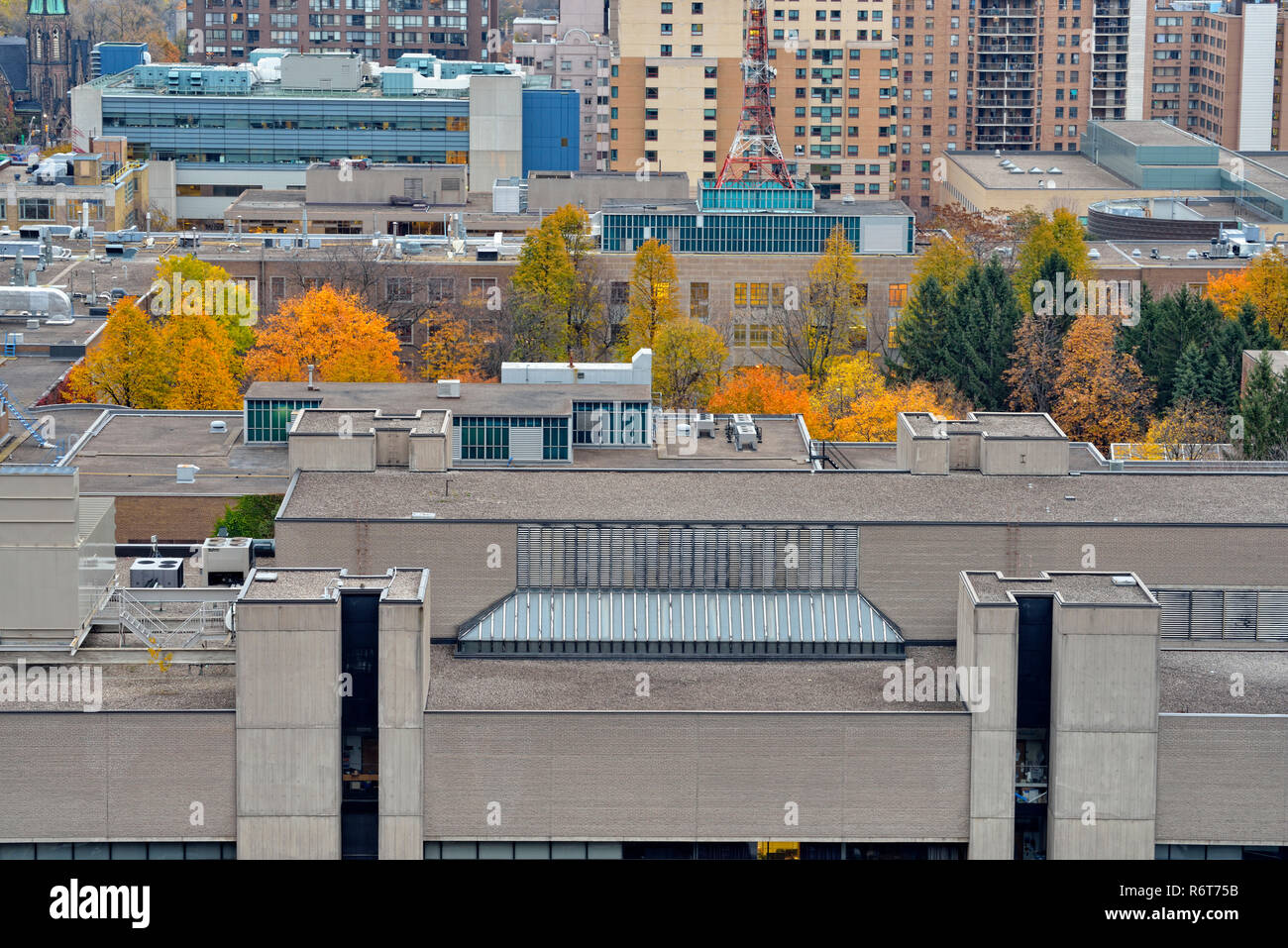 Le centre-ville de Toronto- à au nord-est vers Bloor Street à partir de l'Eaton Chelsea Hotel (20e étage), Toronto, Ontario, Canada Banque D'Images