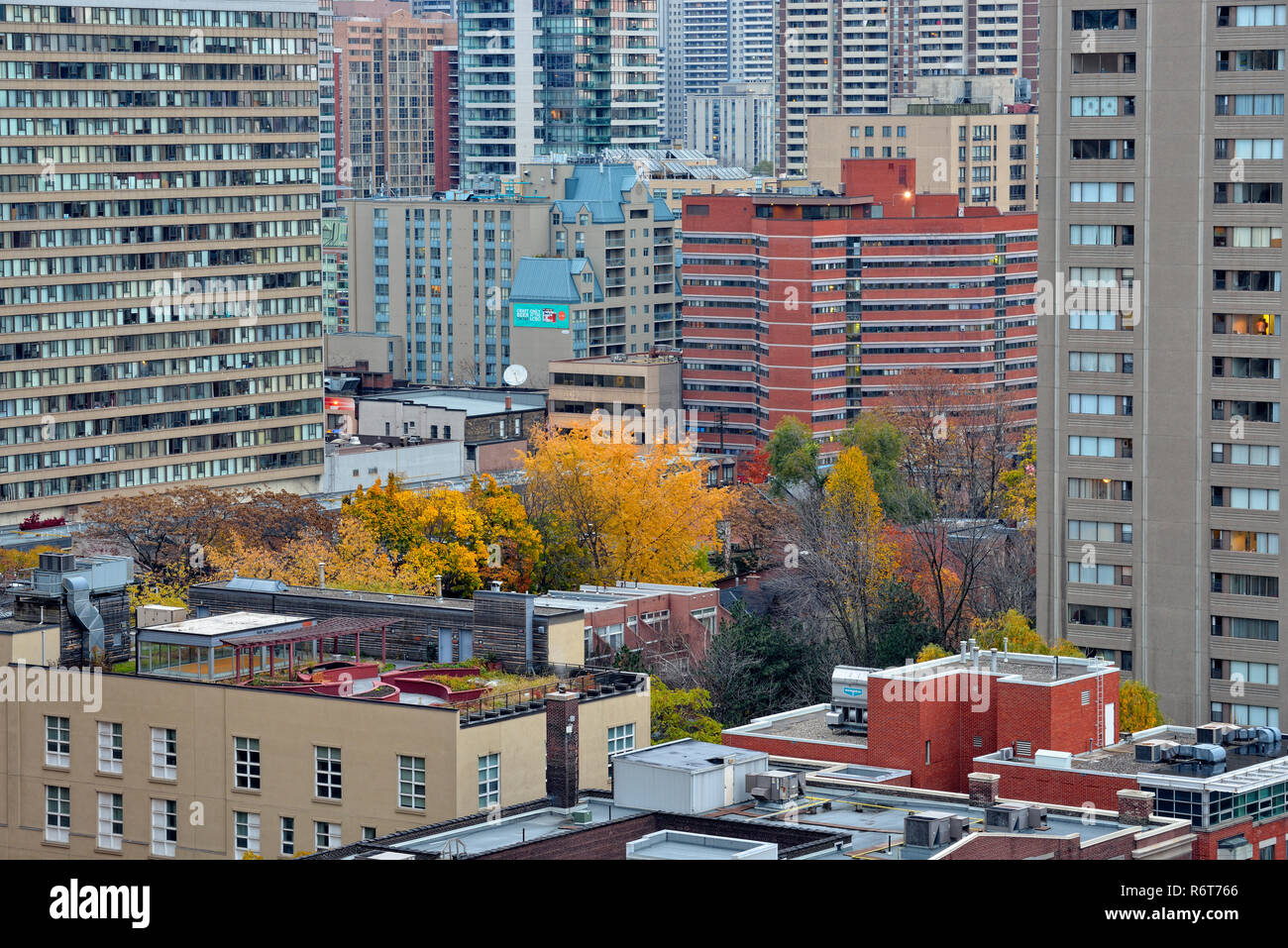 Le centre-ville de Toronto- à au nord-est vers Bloor Street à partir de l'Eaton Chelsea Hotel (20e étage), Toronto, Ontario, Canada Banque D'Images