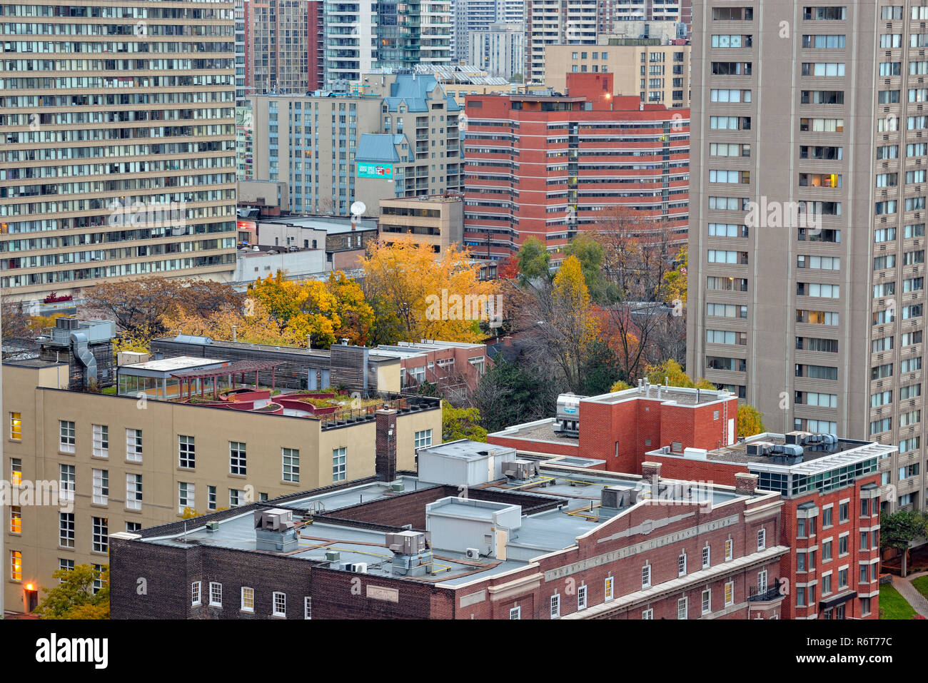 Le centre-ville de Toronto- à au nord-est vers Bloor Street à partir de l'Eaton Chelsea Hotel (20e étage), Toronto, Ontario, Canada Banque D'Images