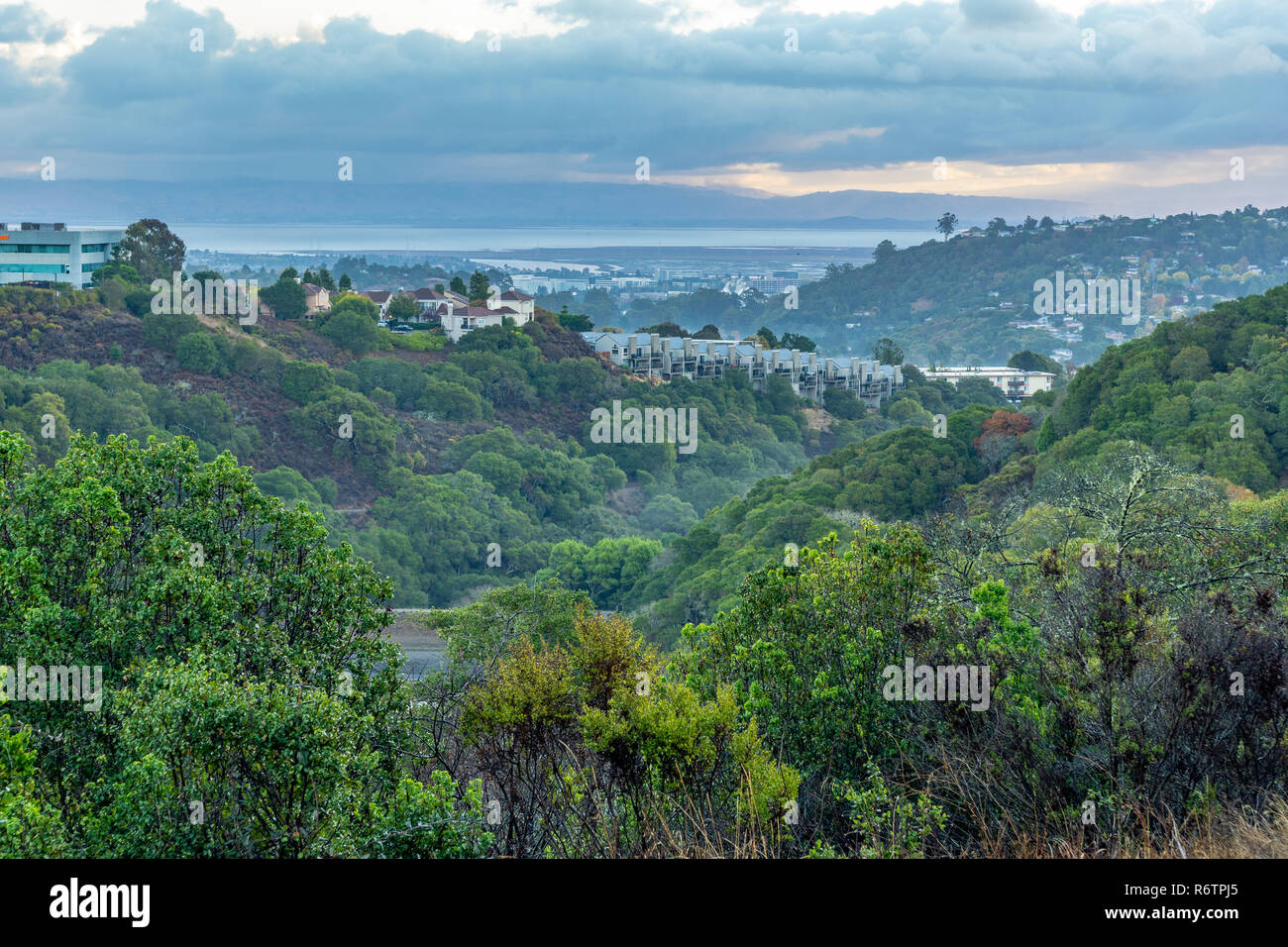 Maisons sur une colline boisée dans une banlieue, Belmont, Californie Banque D'Images