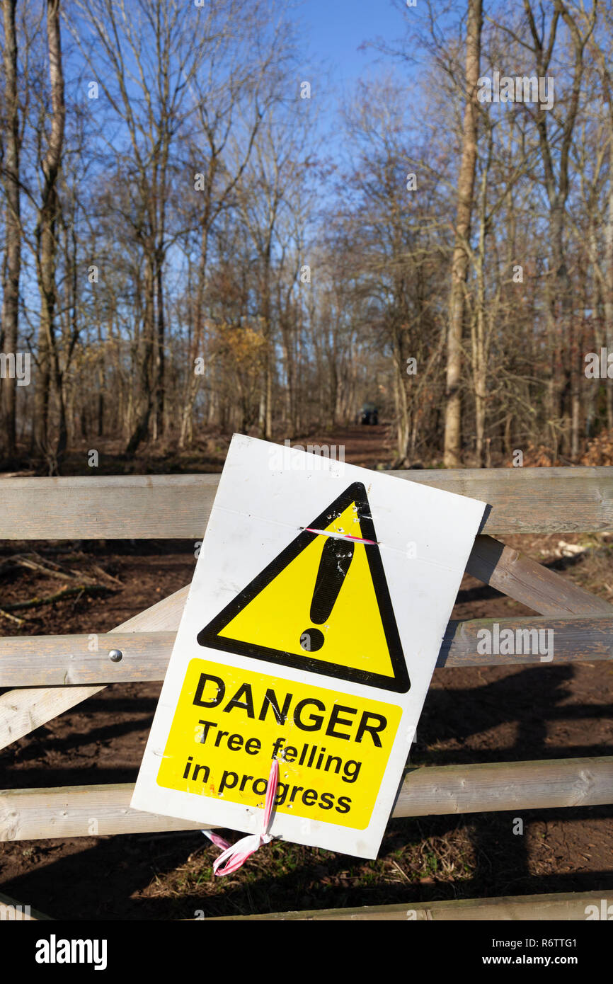 Panneau d'avertissement pour l'abattage en cours sur porte en bois à l'extérieur de la forêt, Gloucestershire, England, UK Banque D'Images