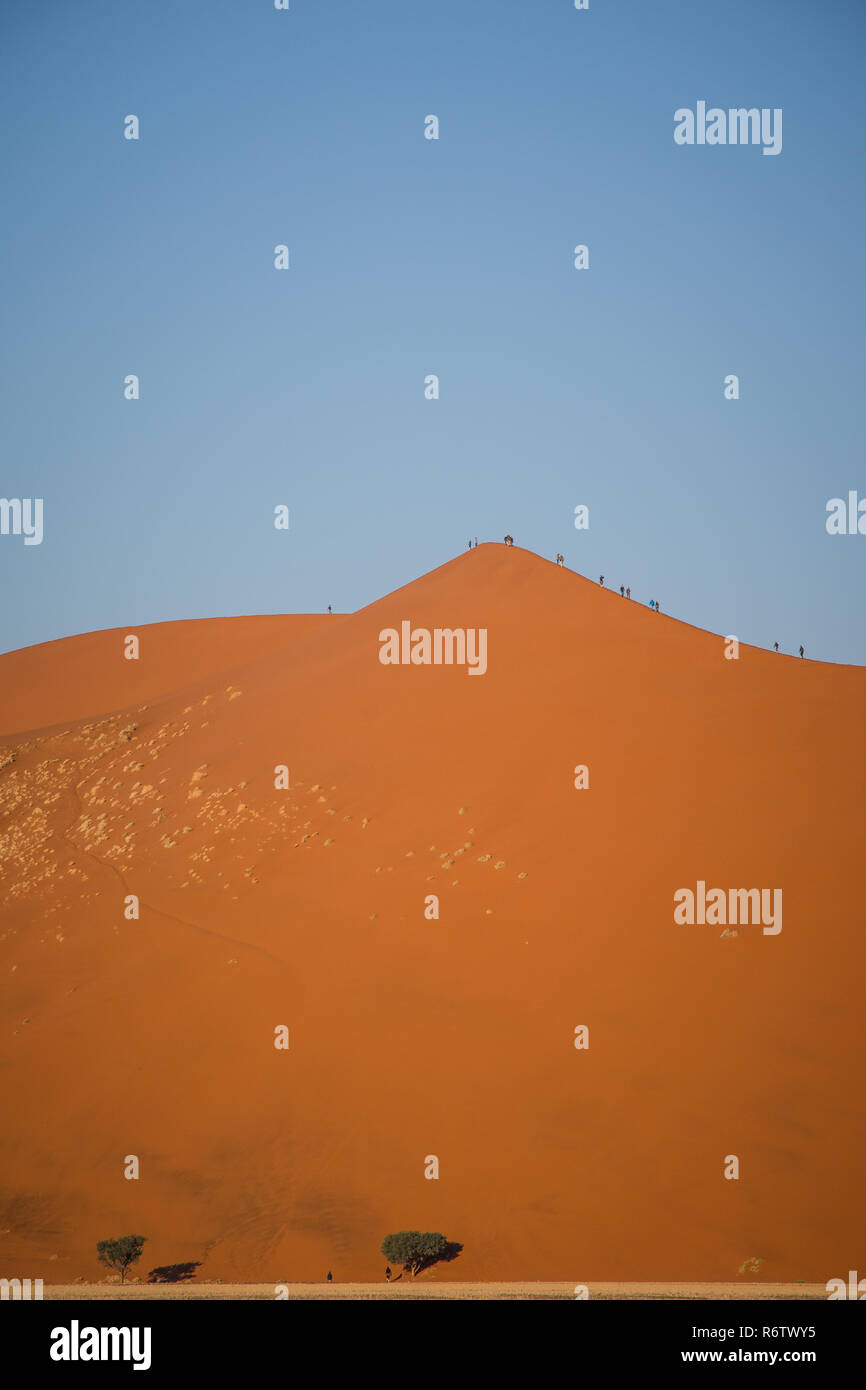 Dunes rouges à Sossusvlei Banque D'Images