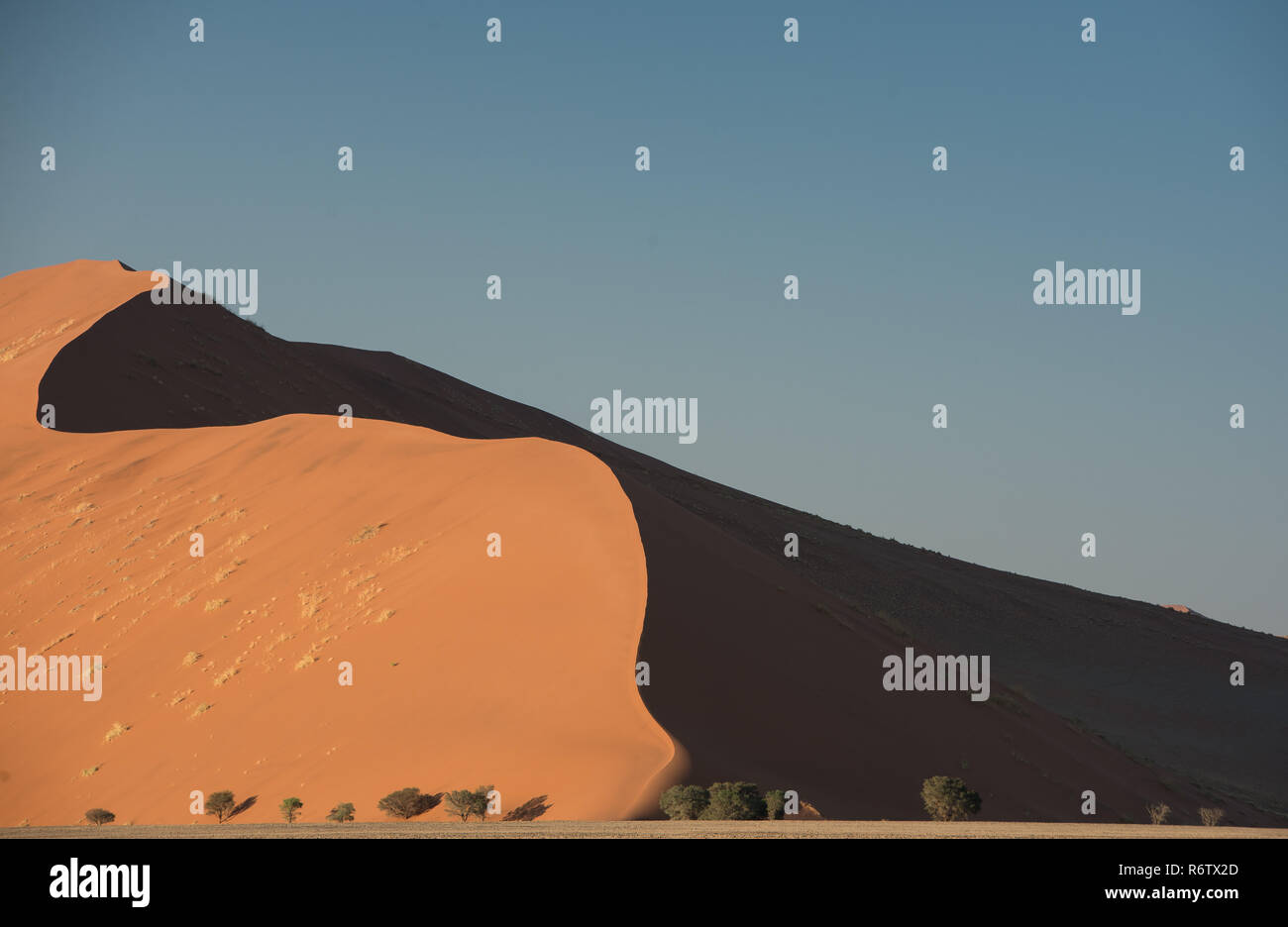 Dunes rouges à Sossusvlei Banque D'Images