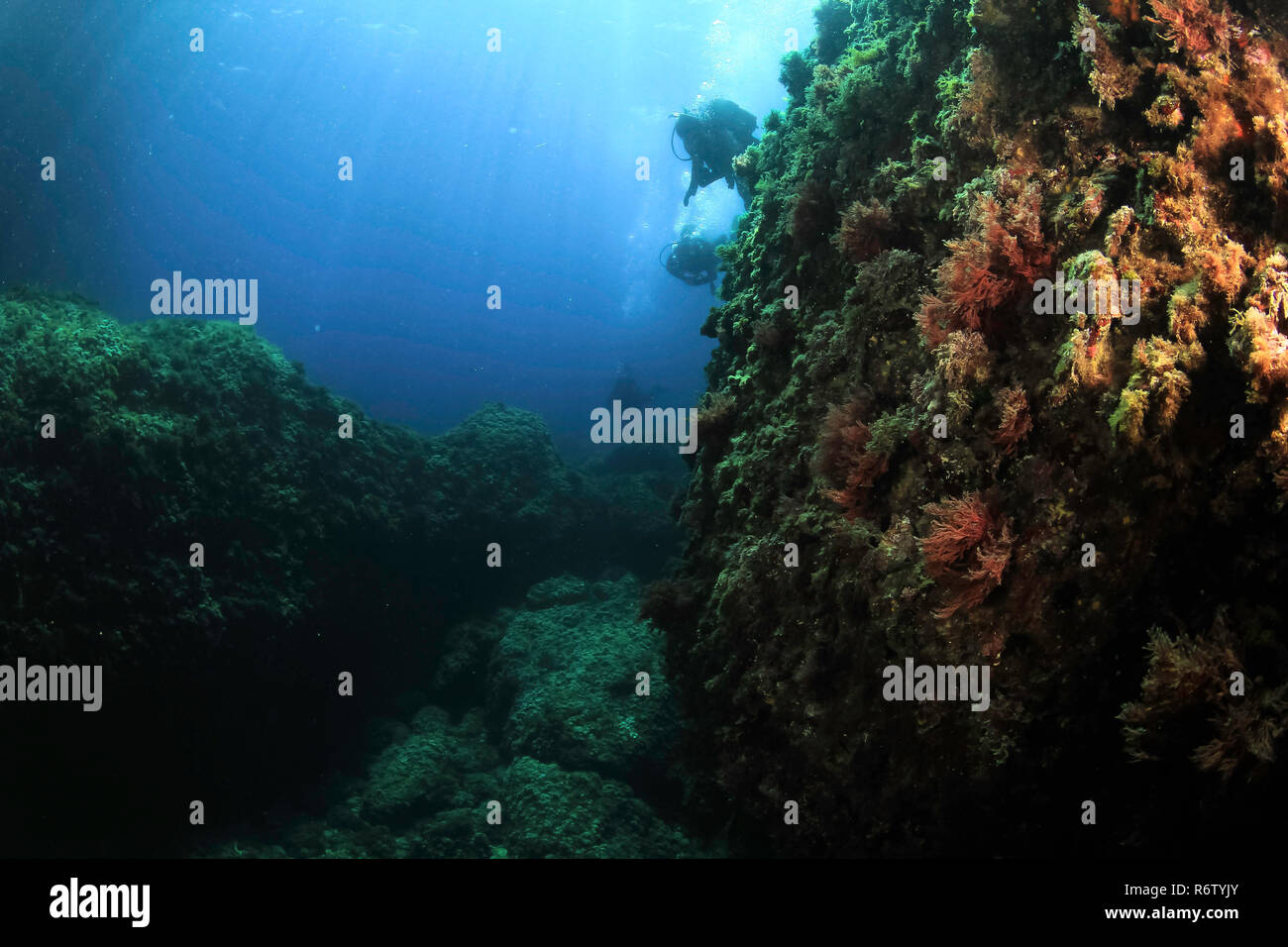 La plongée en Mer Méditerranée - Majorque, Espagne Banque D'Images