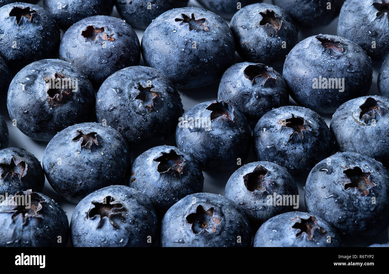 Une macro shot de bleuets couvert de gouttes d'eau. Banque D'Images
