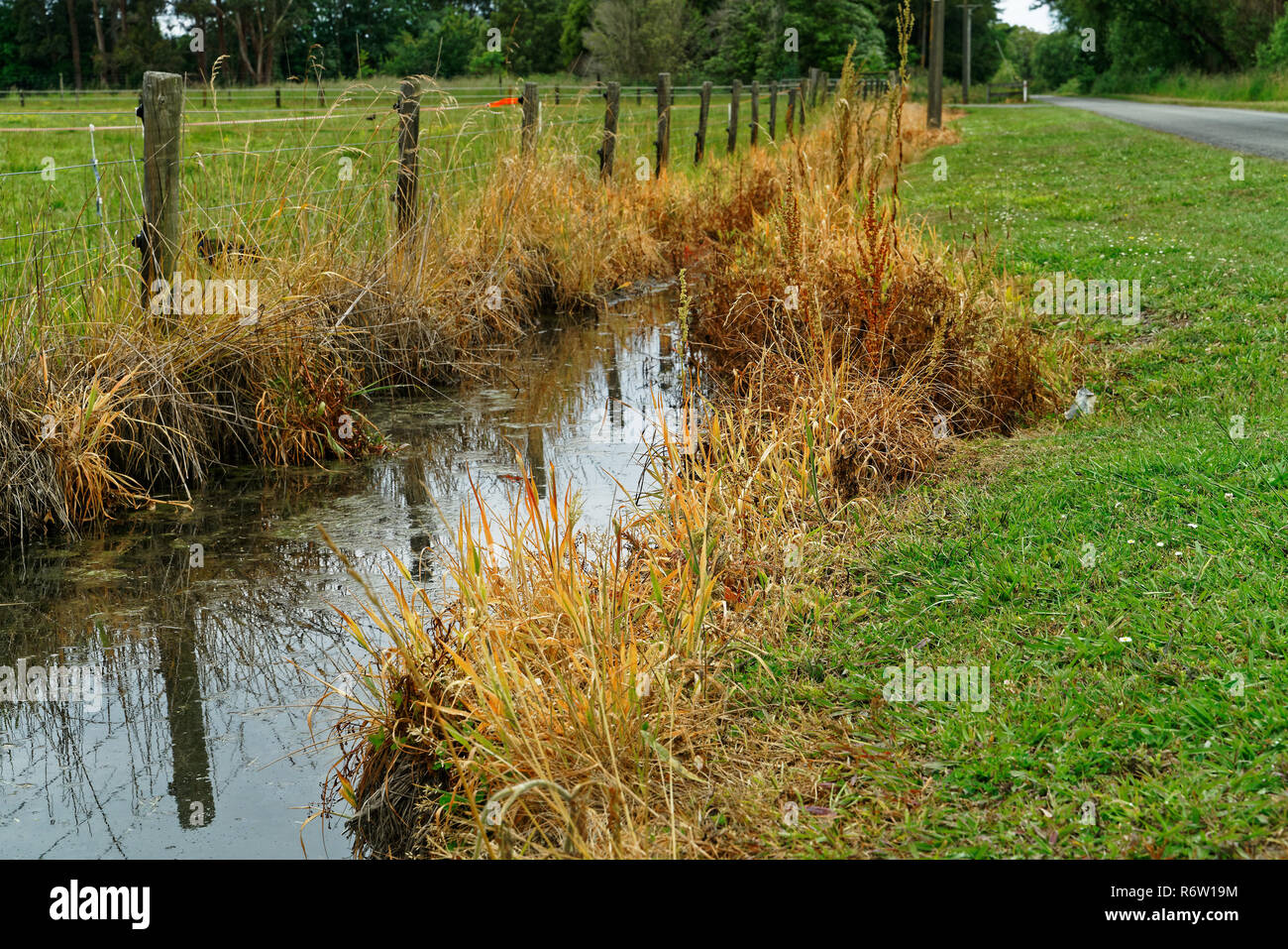 L'utilisation d'herbicides sur un fossé de drainage qui se jettent dans un estuaire où soient récoltés pour l'alimentation, en Nouvelle-Zélande. Banque D'Images