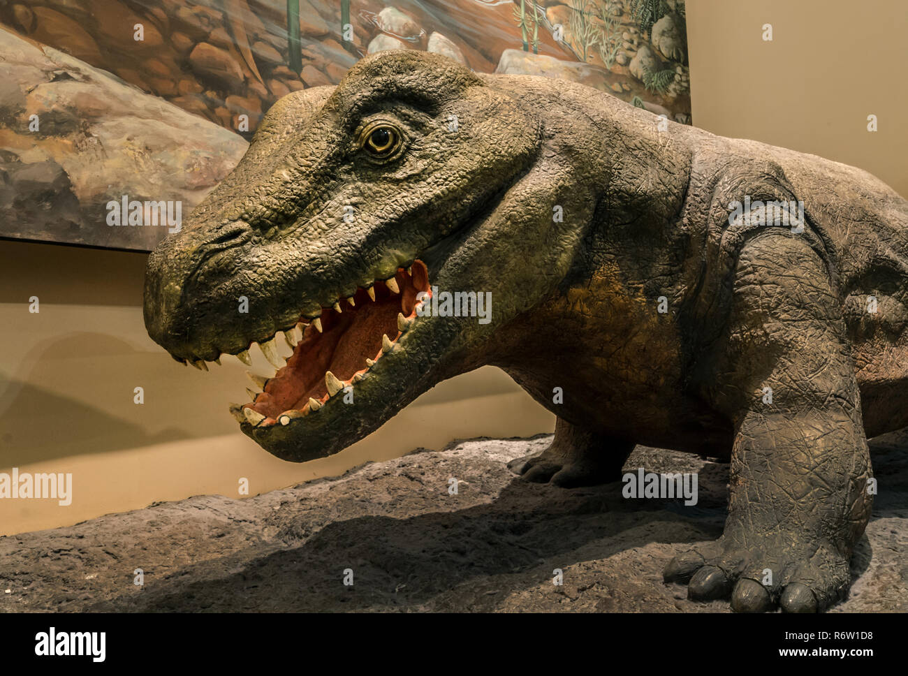 Un dinosaure s'affiche dans la galerie des dinosaures à Fernbank Museum of Natural History, le 23 mai 2014, à Atlanta, Géorgie. Banque D'Images