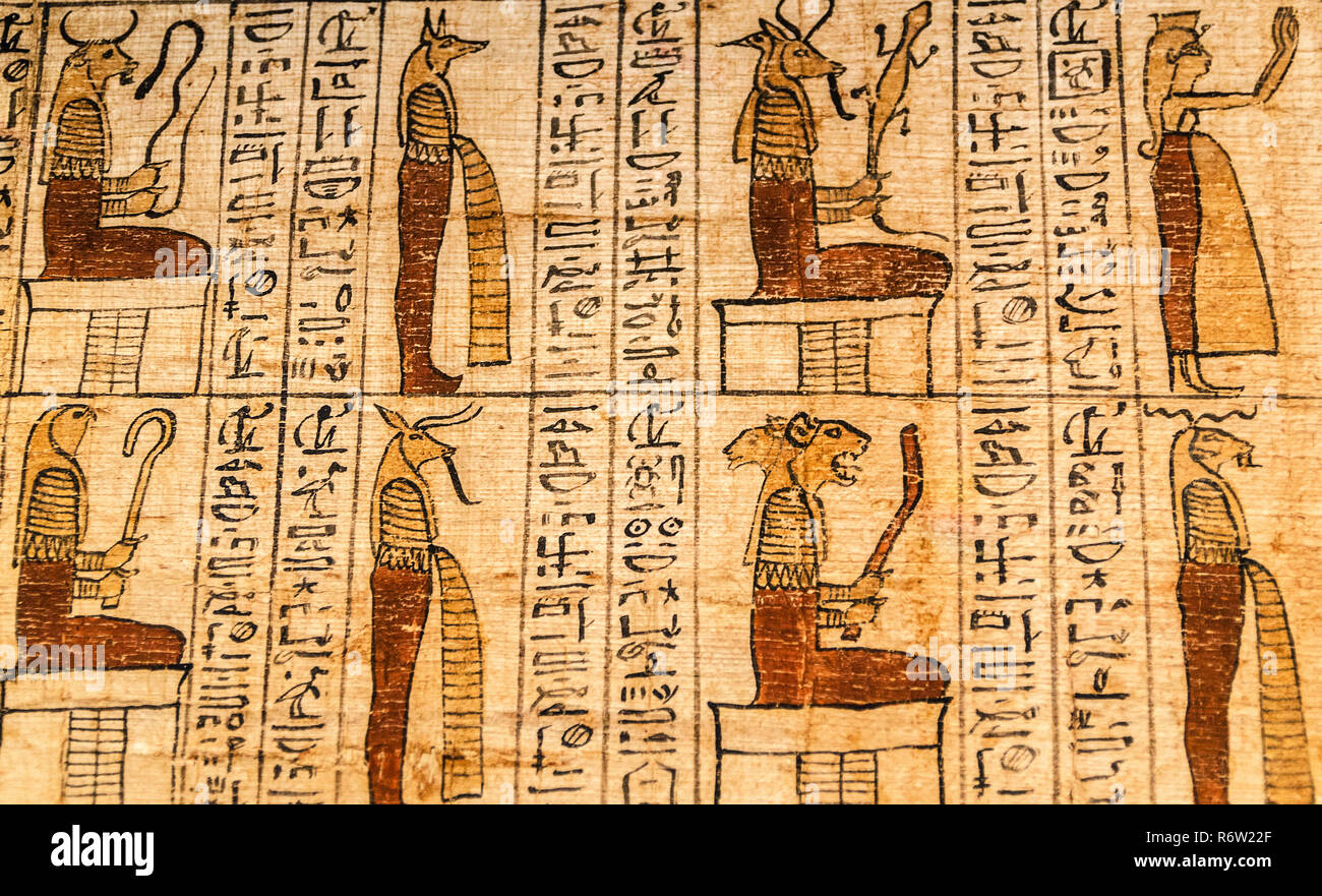 Un papyrus faites défiler l'Amdouat ours d'Tanetshedkhons Michael C. Carlos au Musée à l'Emory University, 8 juillet 2014, à Atlanta, Géorgie. Banque D'Images