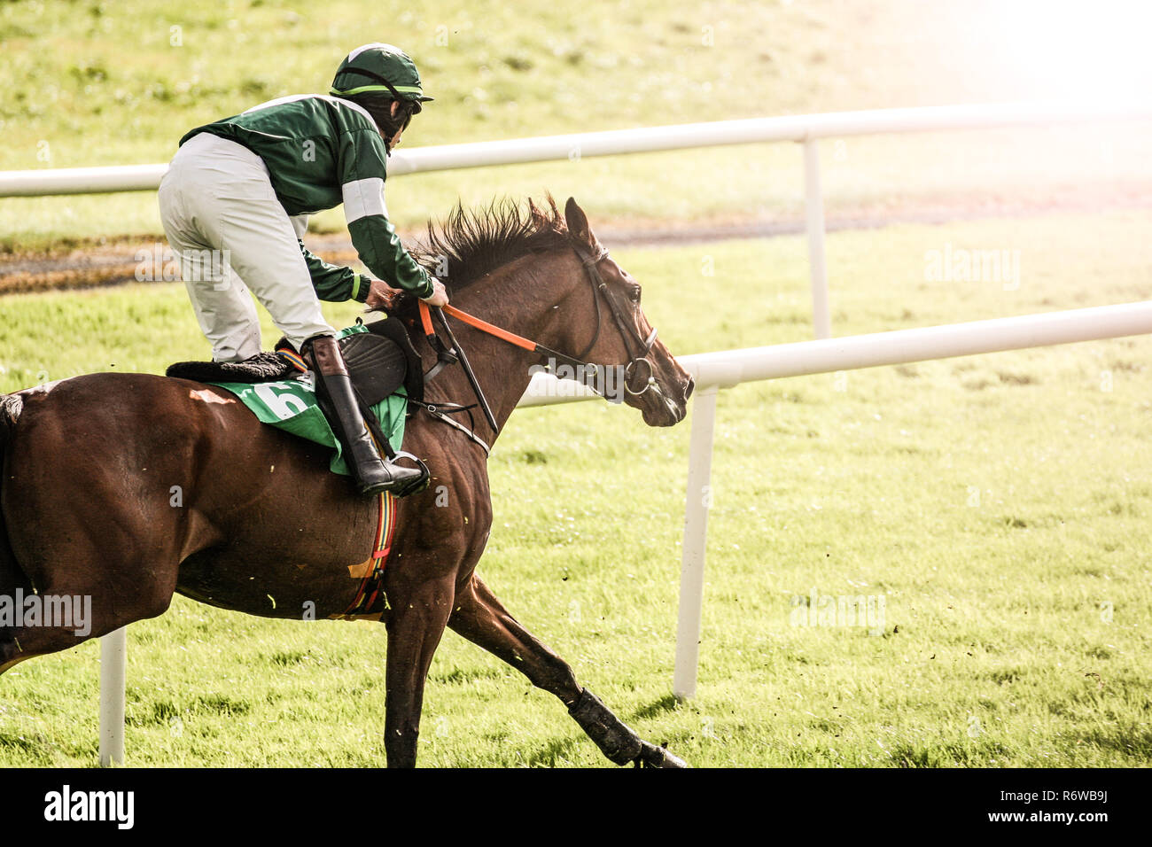 Les chevaux et les jockeys dans les courses de cross, Sun sun transformés effet flare Banque D'Images
