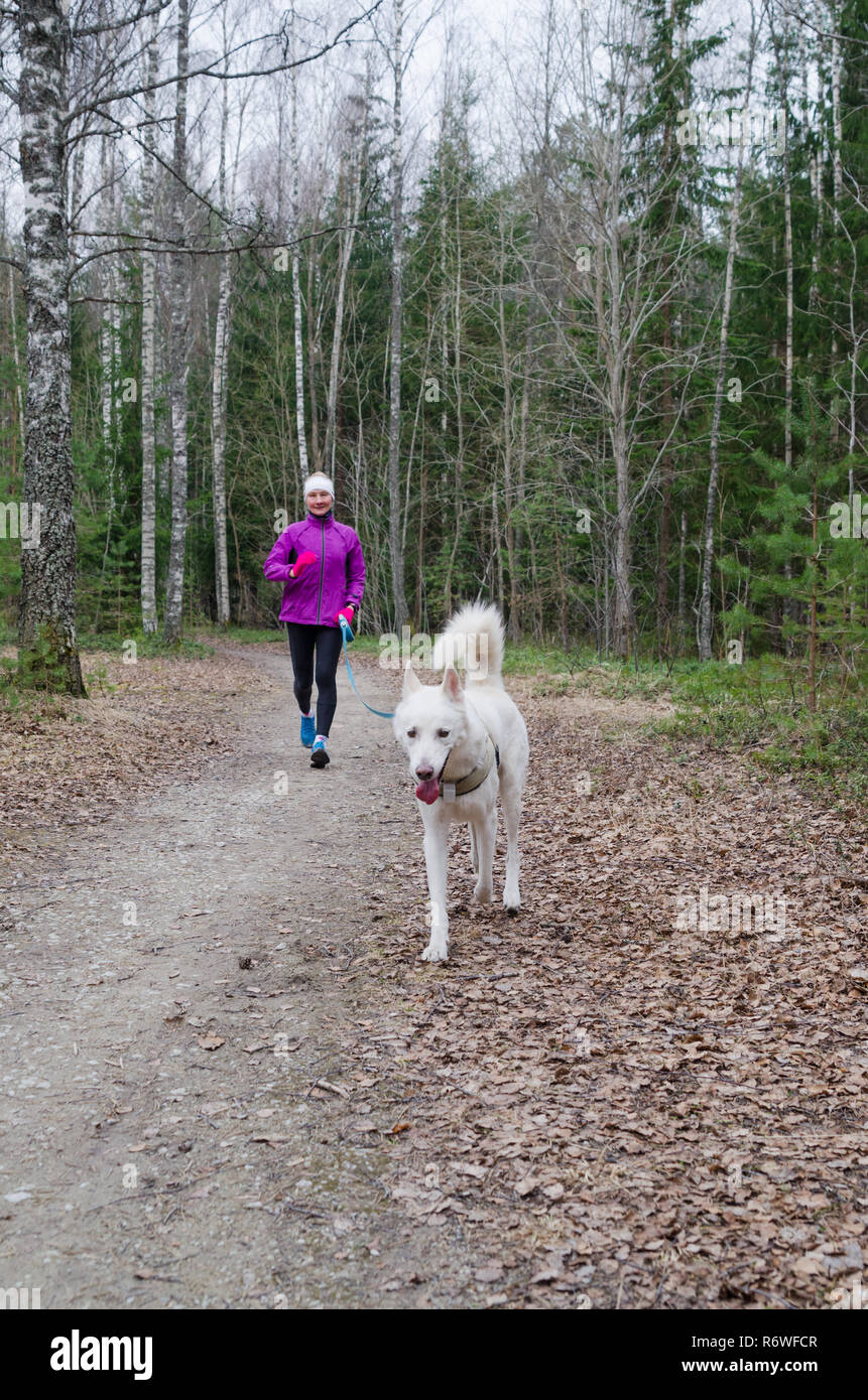 Femme avec un chien sur une course dans le parc Banque D'Images