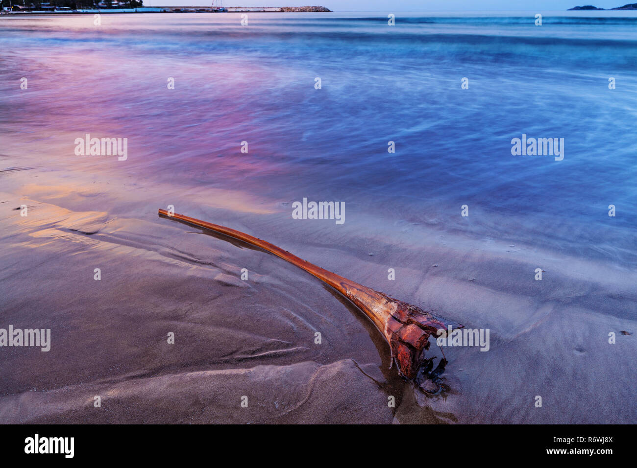 Lever du soleil sur la mer Banque D'Images