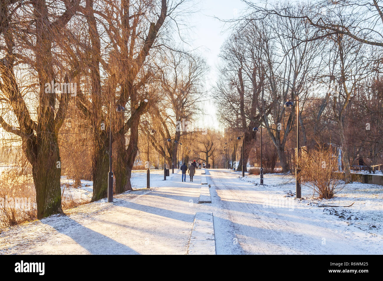 La promenade quotidienne dans le parc Banque D'Images