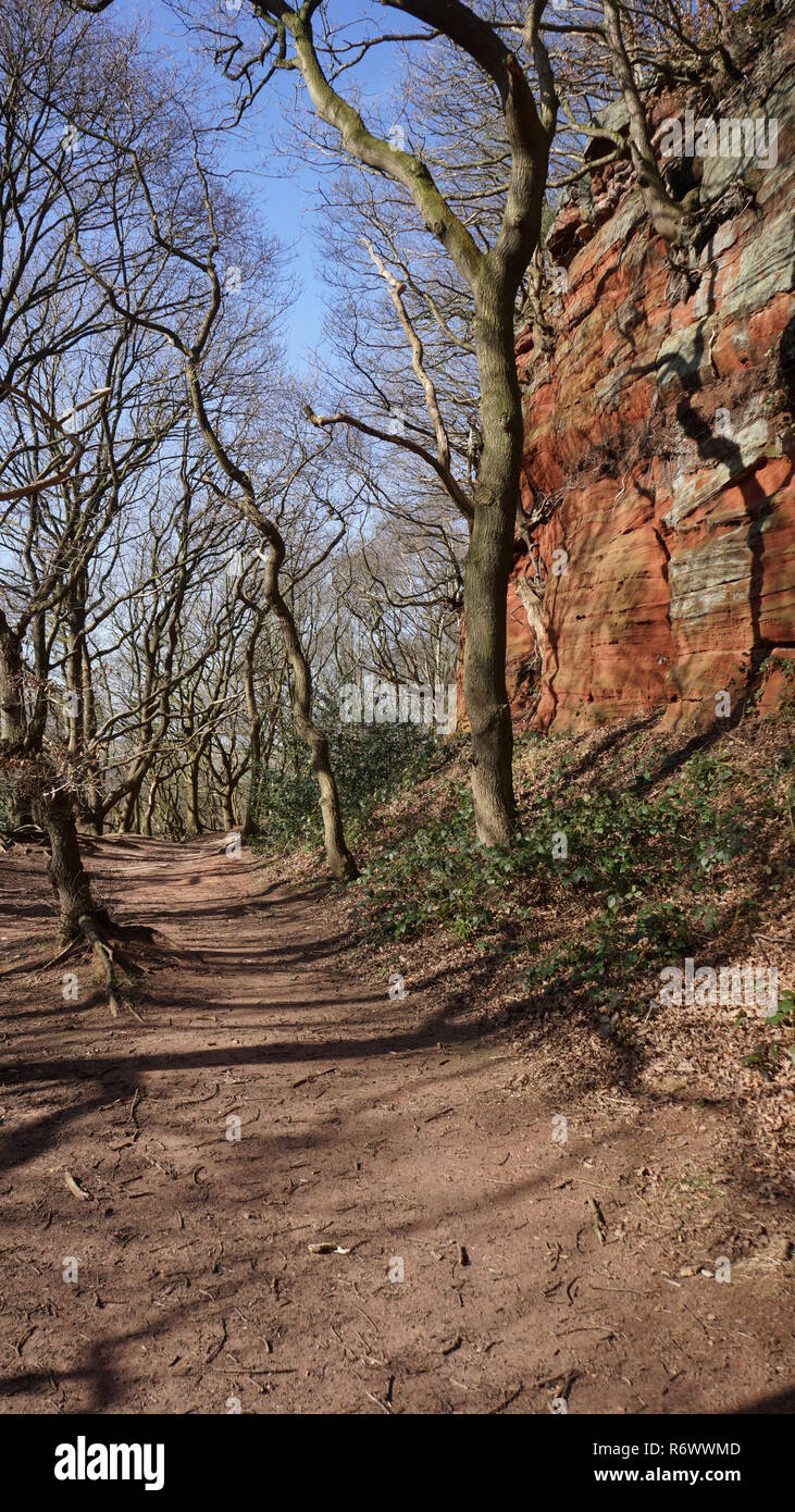 Chemin serpente à travers les arbres feuillus squelettiques comme délimitée par le haut de l'affleurement de grès rouge-brun qui fait partie du sentier de grès Banque D'Images