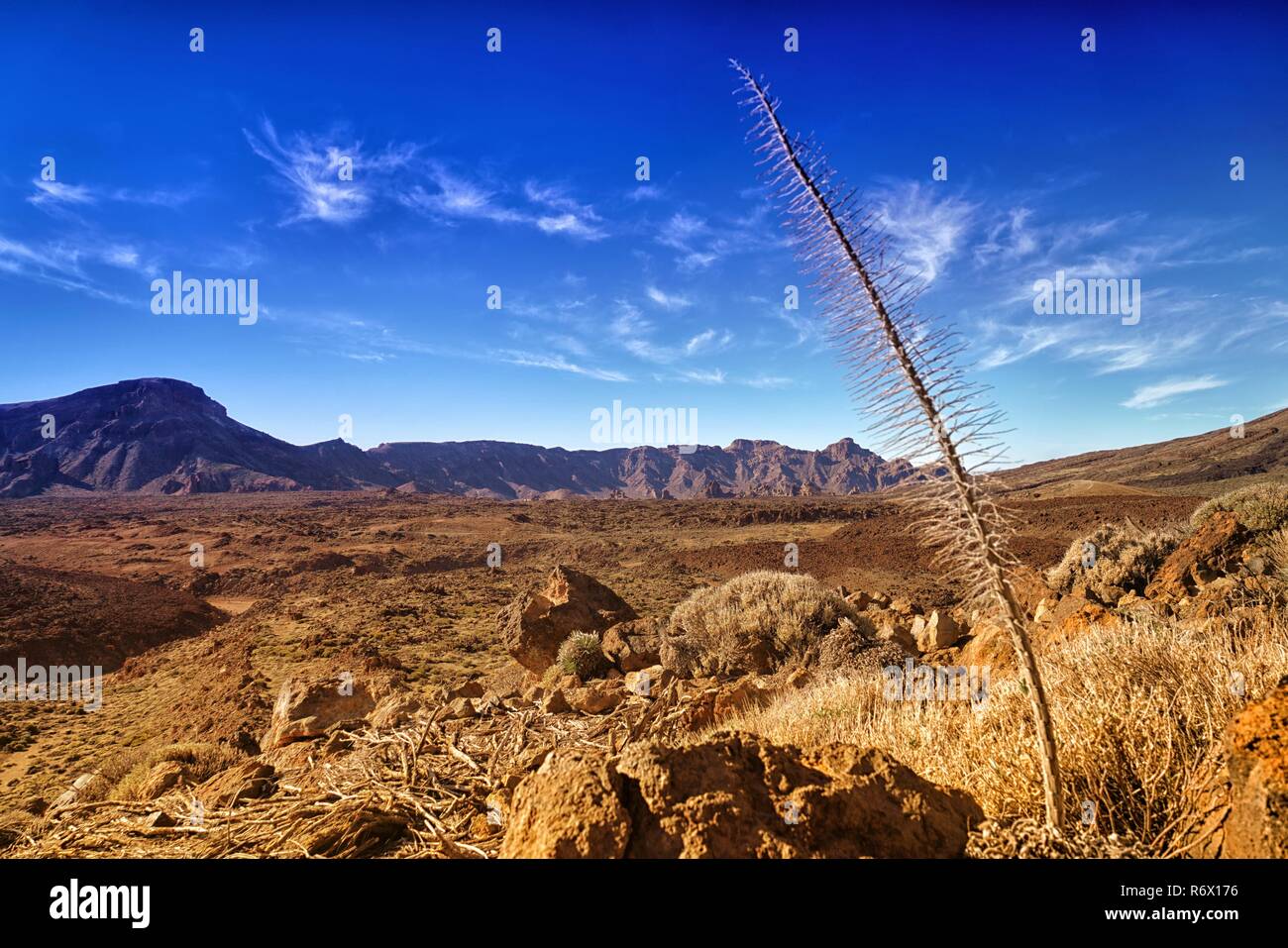 El Teide national park Banque D'Images