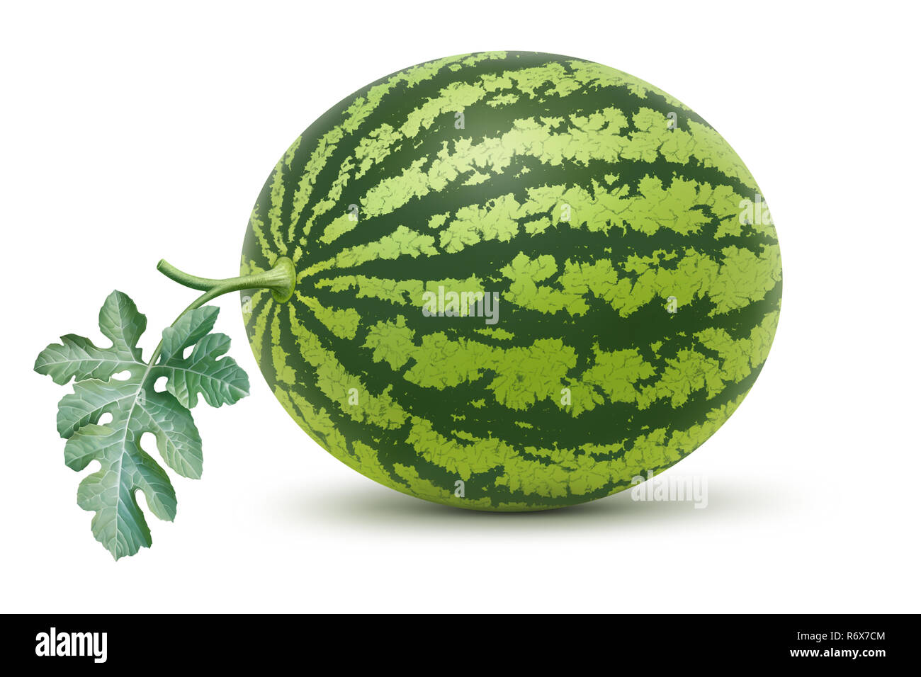 Watermelon et feuille illustration, peinture numérique Banque D'Images