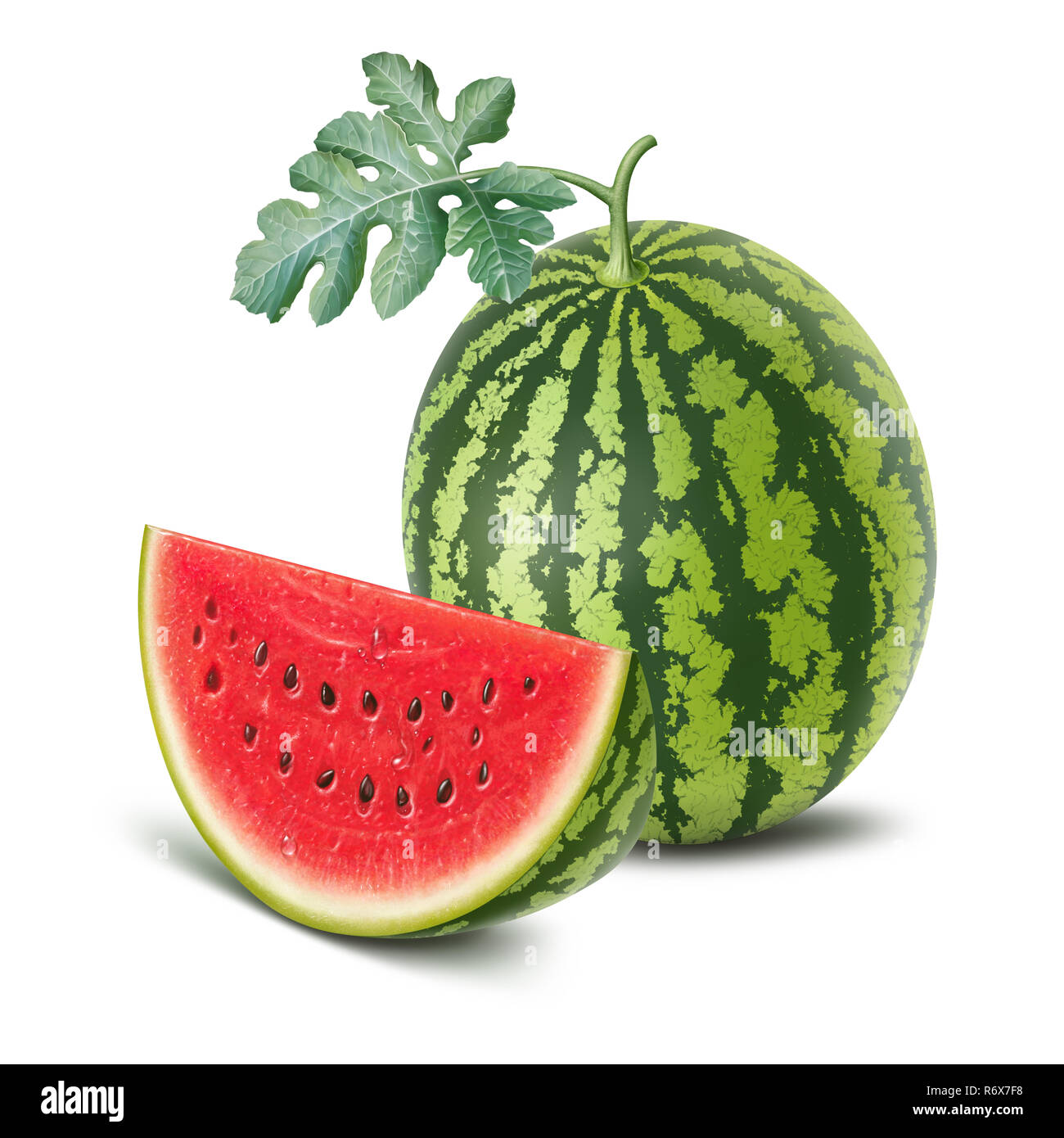 Watermelon slice et illustration, peinture numérique Banque D'Images