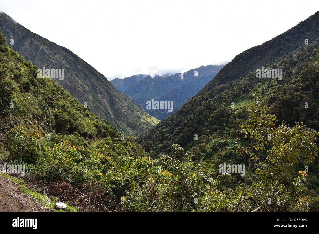 Paysages de montagne andine le long de la randonnée de Salkantay à Machu Picchu, au Pérou. Banque D'Images