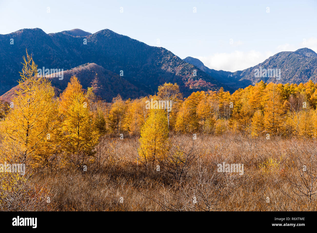 Mont Nantai et automne doré au Japon Banque D'Images