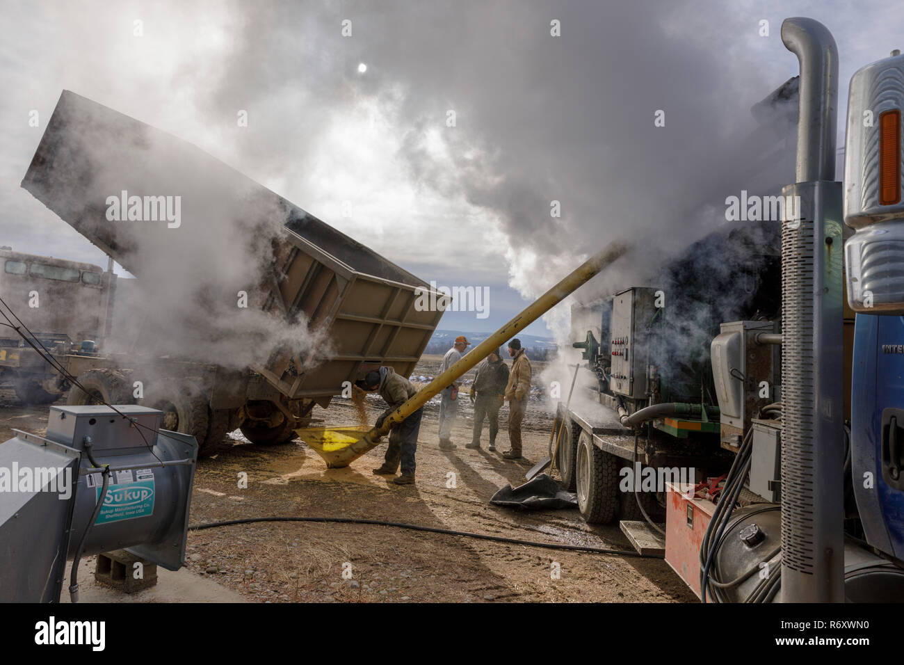 La torréfaction des fèves de soya à l'emplacement de la ville, des silos à grains de Minden, Mohawk Valley, New York, USA Banque D'Images
