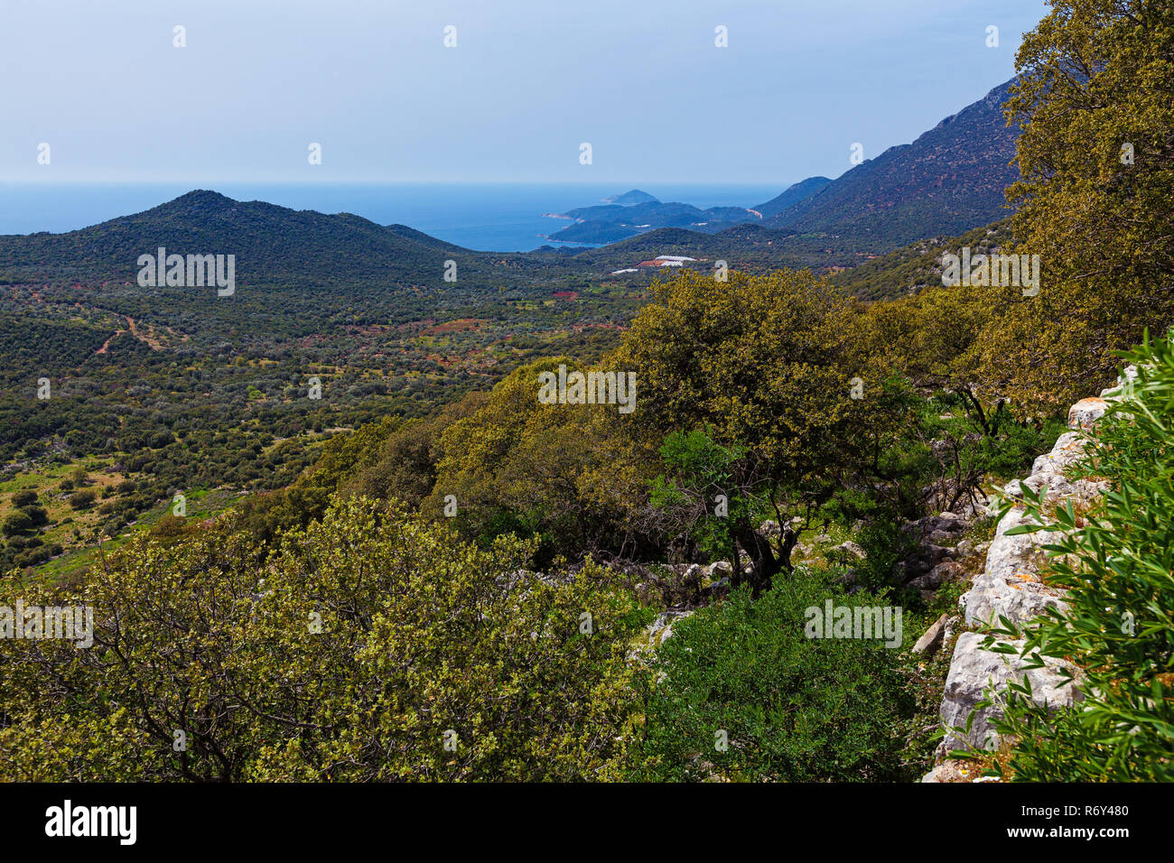 Dans la vallée les montagnes près de la mer Banque D'Images