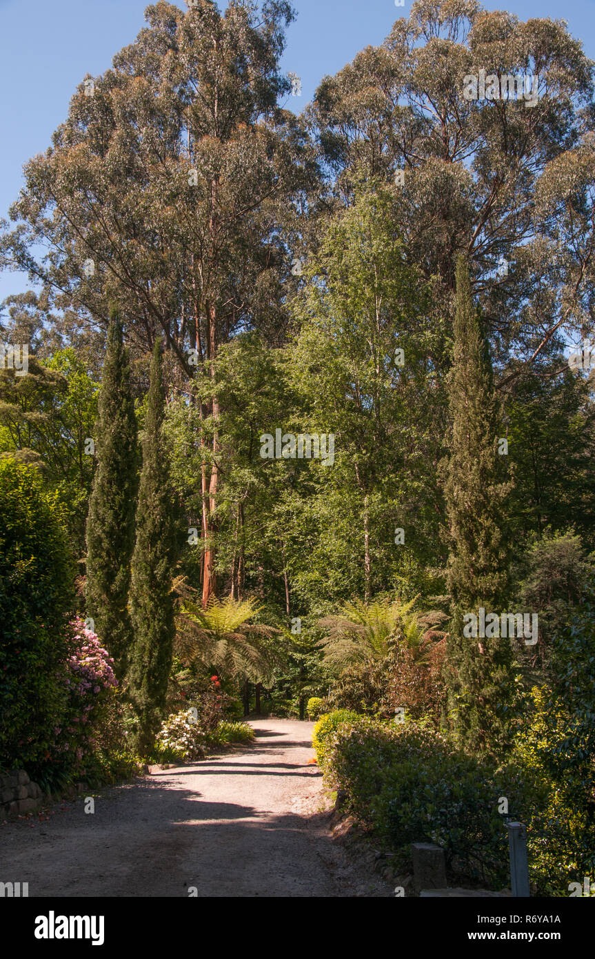 Alfred Nicholas Memorial Gardens, Sherbrooke, Victoria, Australie Banque D'Images