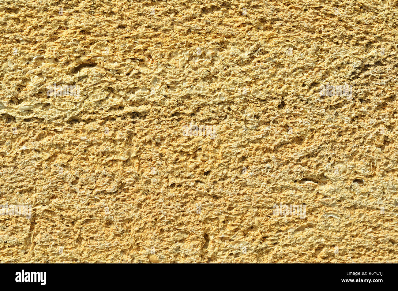 Le mur est fait de briques de Crimée, la brique à partir de coquillages, de texture. Banque D'Images