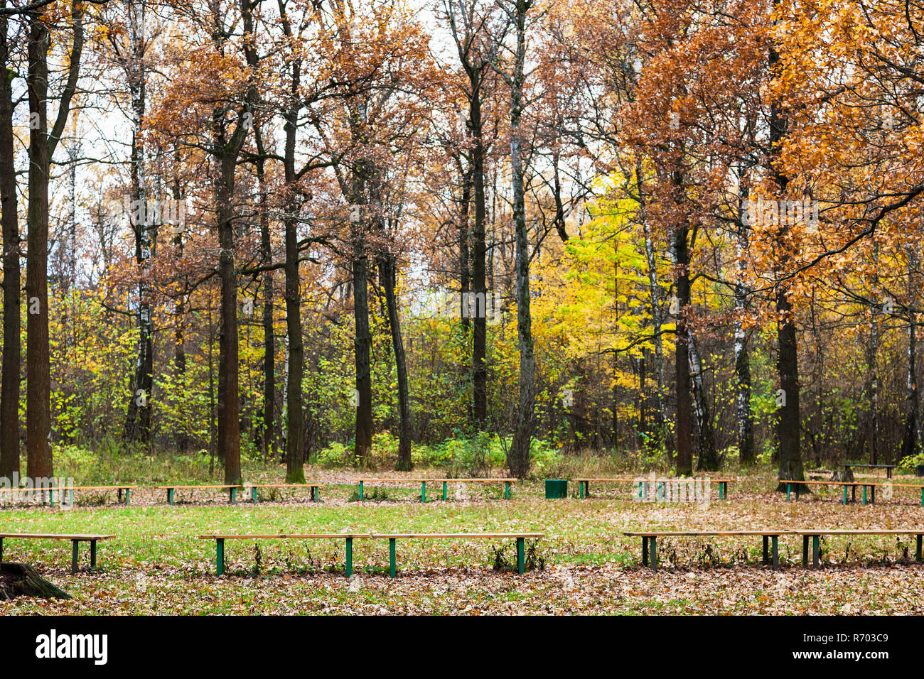 Bancs de pré en parc urbain à l'automne Banque D'Images