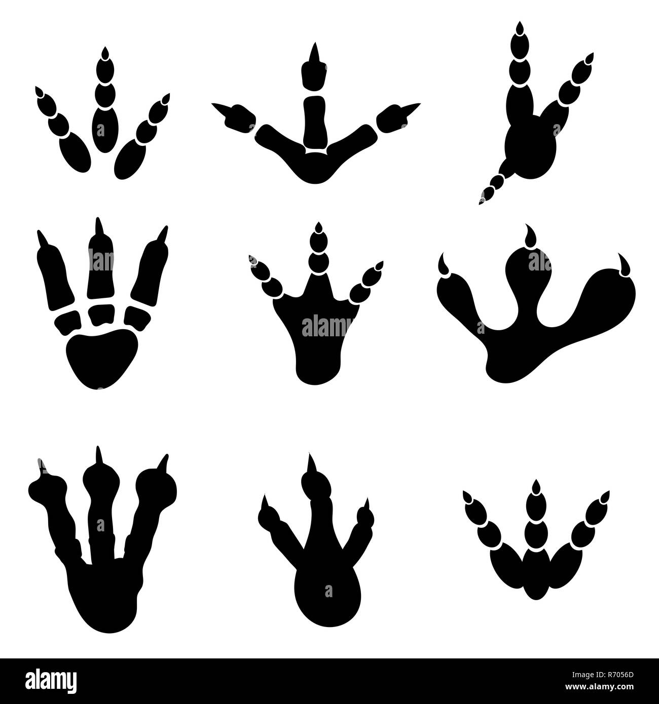 Ensemble de différentes impressions Isolated Banque D'Images