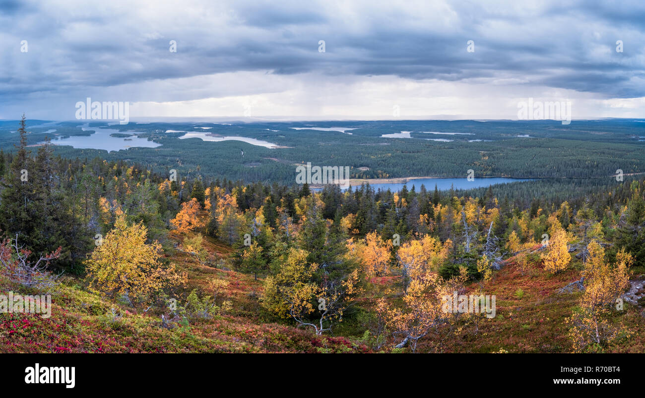 Paysage pittoresque avec des couleurs d'automne et de l'humeur de la forêt des nuages sur le haut de la colline, au soir d'automne dans la région de Laponie, Finlande Banque D'Images