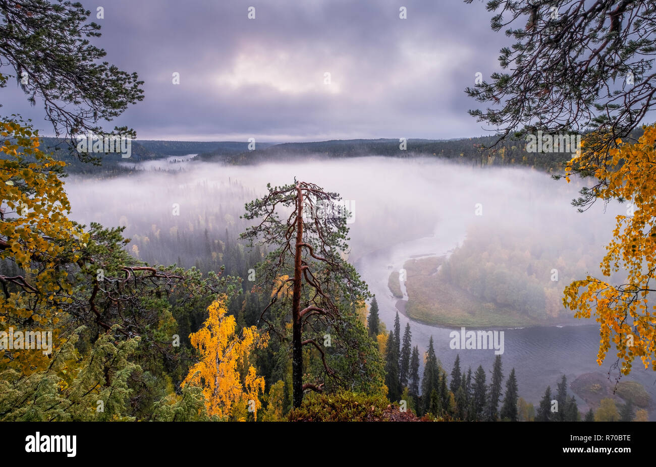 Paysage panoramique avec vue matin brouillard et couleurs d'automne à moody journée à Kuusamo, Finlande Banque D'Images