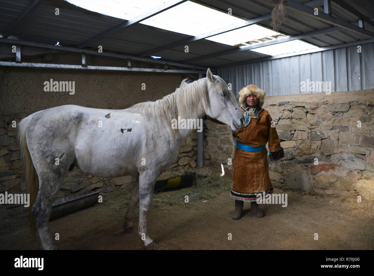 (181207) -- DONG QI UJIMQIN, 7 décembre 2018 (Xinhua) -- Le propriétaire d'un ranch de chevaux vérifie sur un cheval à Dong Ujimqin Qi de Xilin Gol, le nord de la Chine, région autonome de Mongolie intérieure, le 6 décembre 2018. La course de chevaux le ranch sont produites pour améliorer les caractéristiques désirées et valent plusieurs fois le prix de chevaux ordinaires. (Xinhua/Zou Yu) (gxn) Banque D'Images