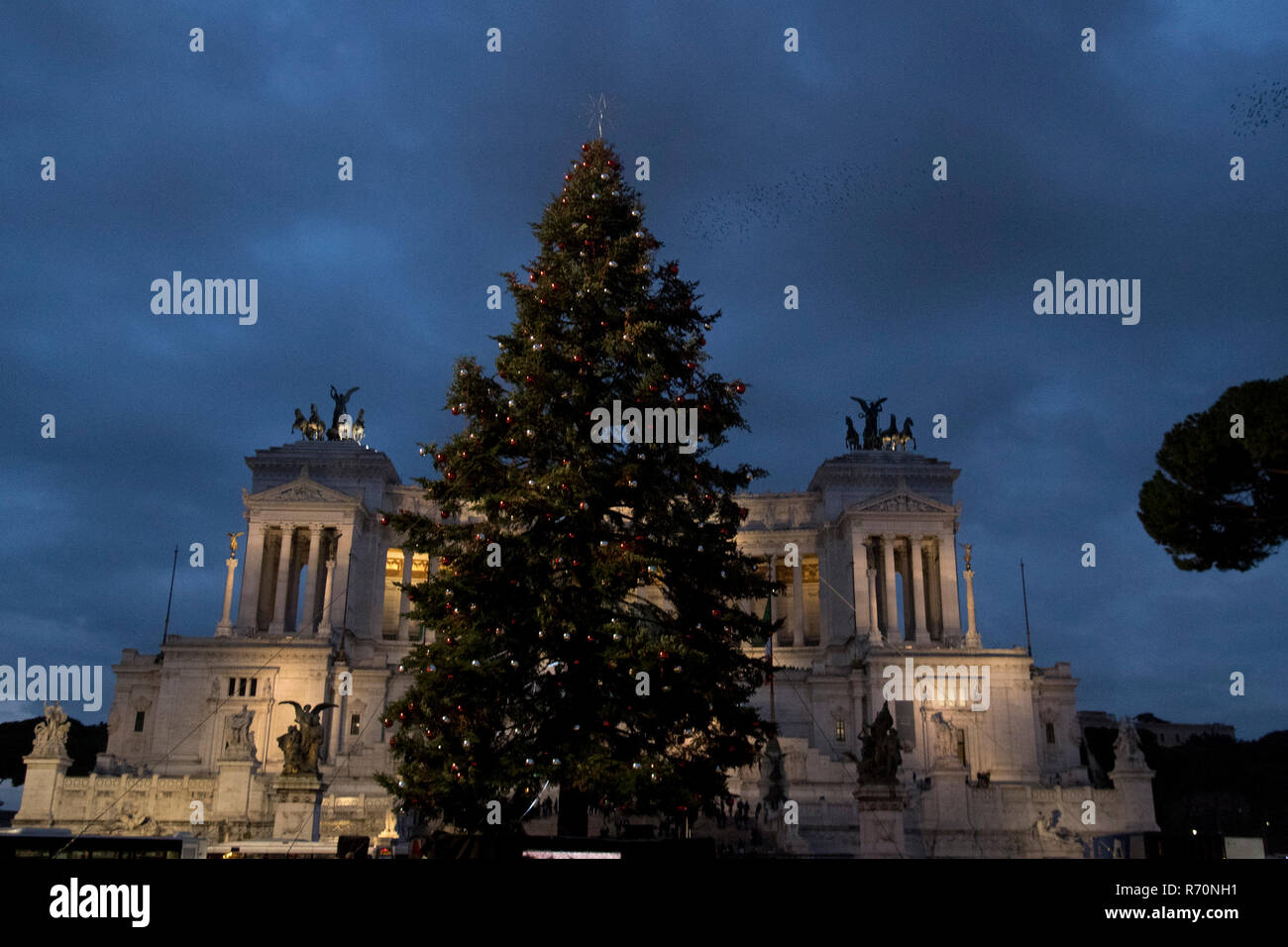 Rome, Italie. 7 décembre 2018.arbre de Noël dans la Piazza Venezia Crédit : LaPresse/Alamy Live News Banque D'Images