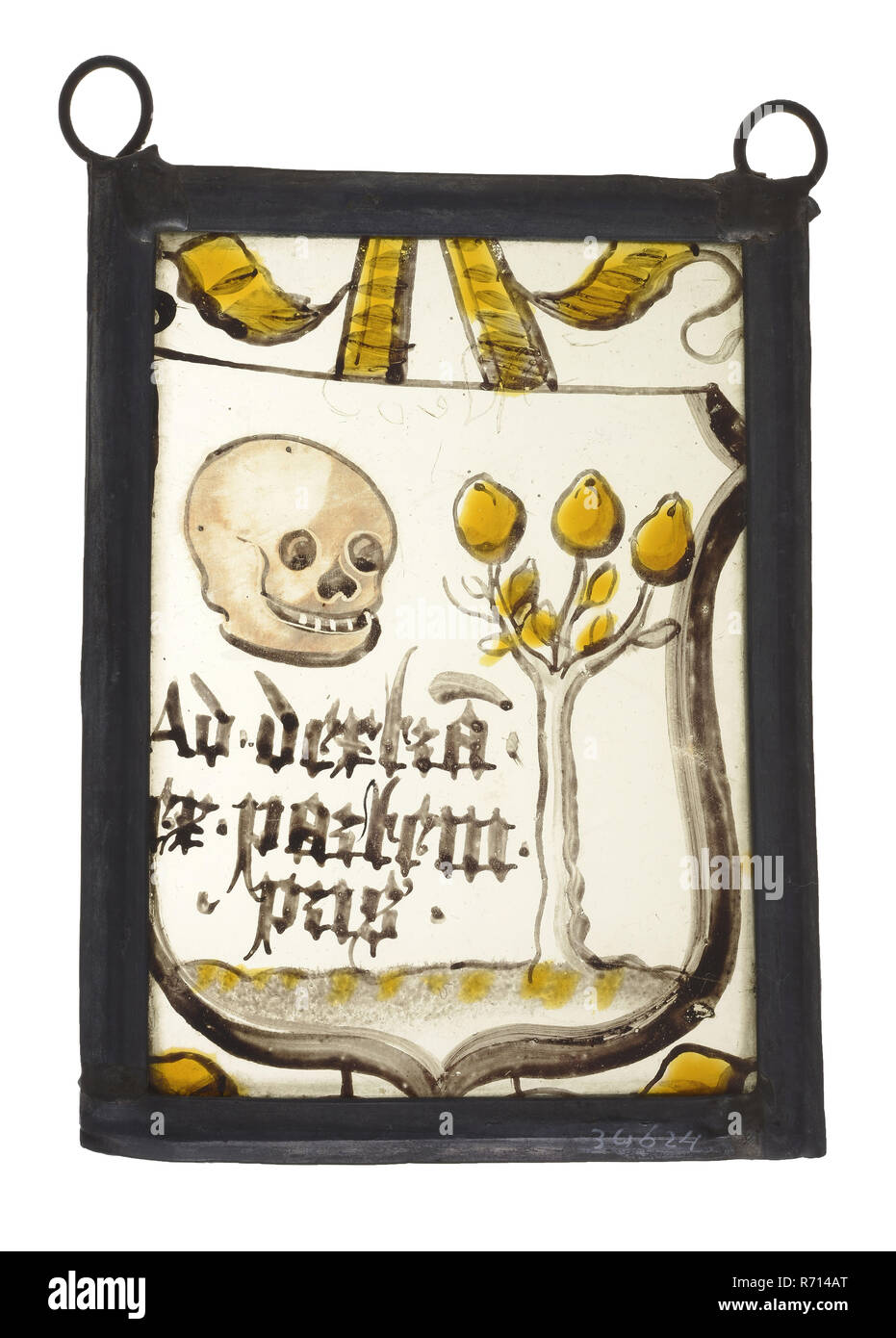 Hanger, fenêtre en verre peint avec armoiries, arbre et crâne, vitrail hanger glasspainting peinture verre matériaux métalliques de plomb, de vitraux fenêtre rectangulaire peinte pendentif vitrail surmontée de deux anneaux suspendus avec les armoiries de la famille sur la surface avec des fruits de l'arbre et du crâne en lettres gothiques de texte latin dextra Ad (m) ex partem pris les armes de la famille de l'héraldique Banque D'Images