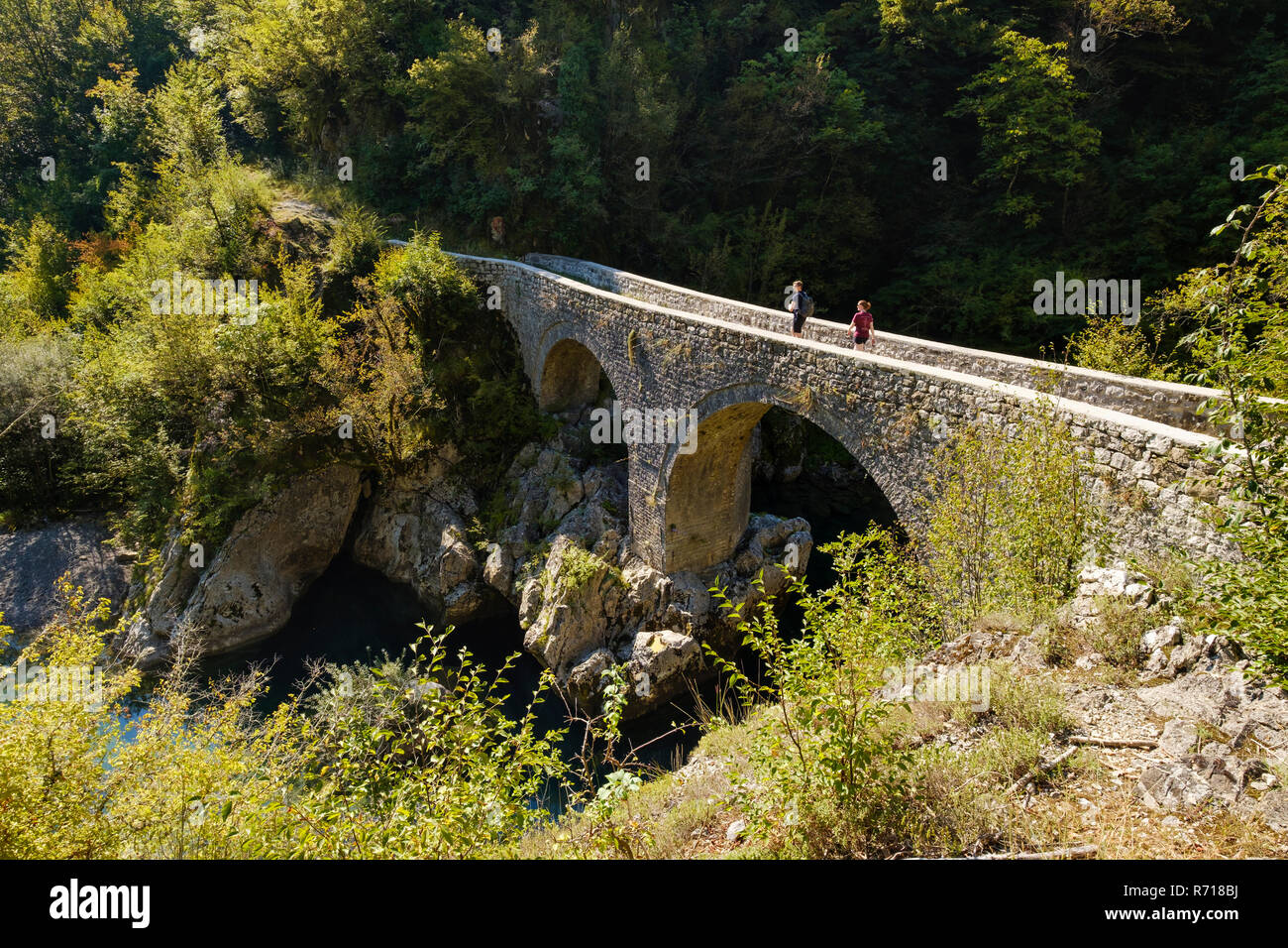 Arch bridge, vieux pont de pierre Danilo pont sur la rivière de Mrtvica Mrtvica, gorge, près de Kolasin, Montenegro Banque D'Images