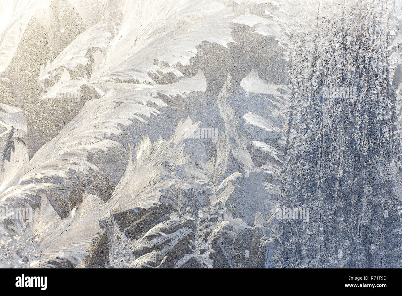 Frosty modèle sur le verre. Arrière-plan de givre sur la vitre. Frostwork. La texture de la glace. Banque D'Images