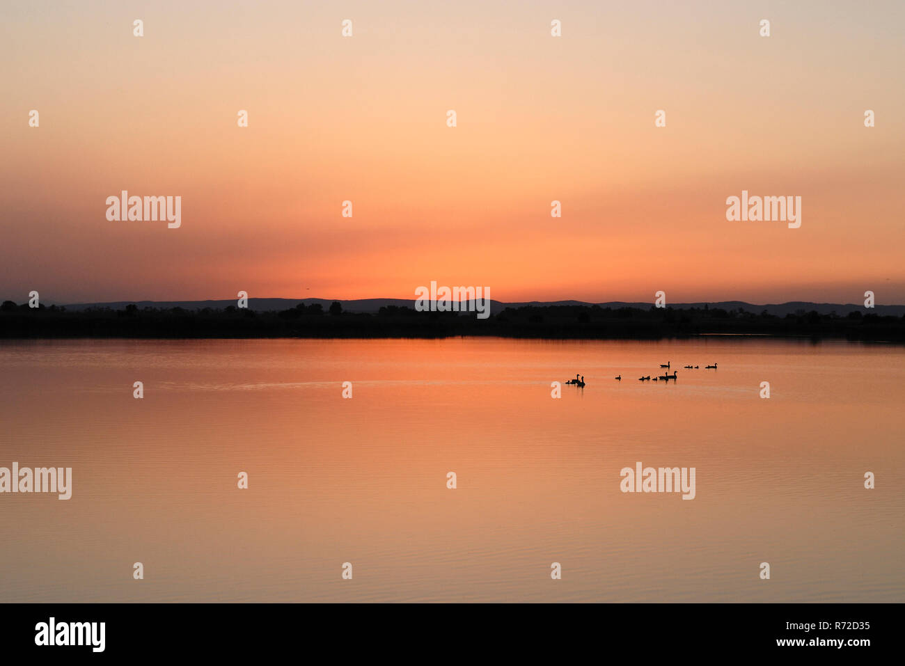 Beau coucher du soleil orange au-dessus d'un lac calme, ambiance avec certaines oies baignade dans la distance. Banque D'Images