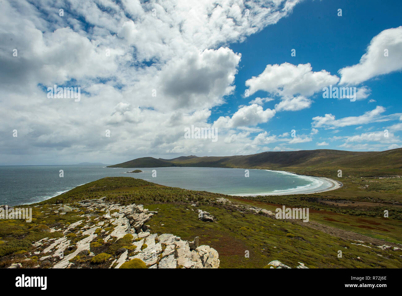 L'Île Saunders, Îles Falkland, Royaume-Uni Banque D'Images