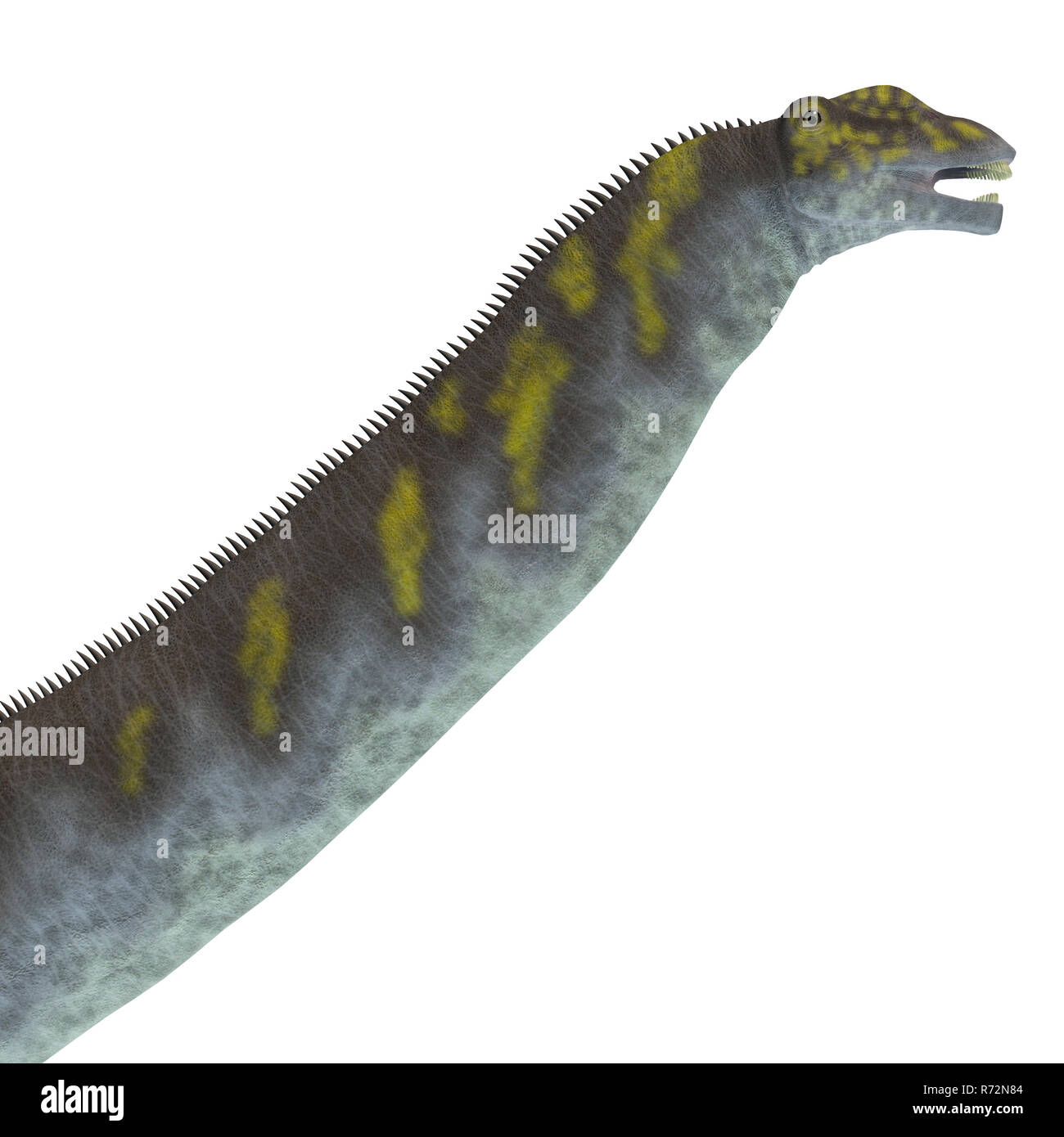 L'Argentinosaurus tête de dinosaure Banque D'Images