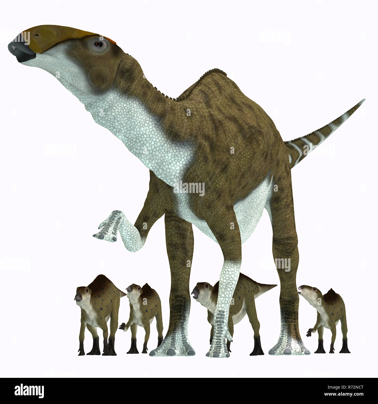 Dinosaure Herbivore Brachylophosaurus Banque D'Images