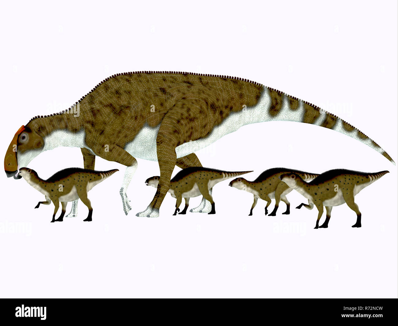 Profil côté Brachylophosaurus Banque D'Images
