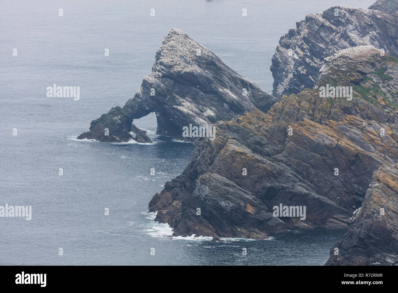 Hermaness National Nature Reserve, Unst, Shetland, GO Banque D'Images