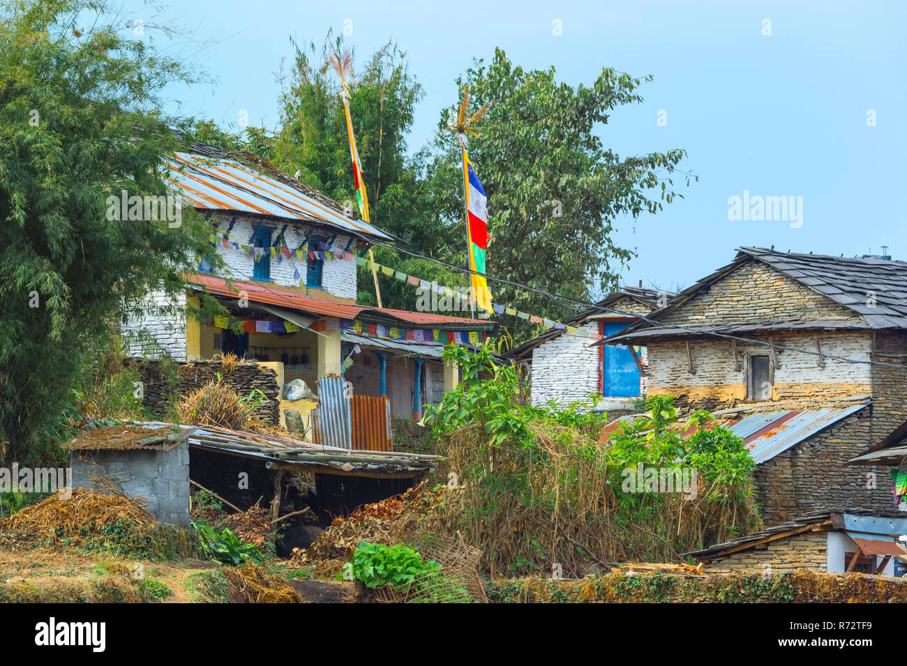 Village de montagne et terrasses de Dhampus, Népal Banque D'Images