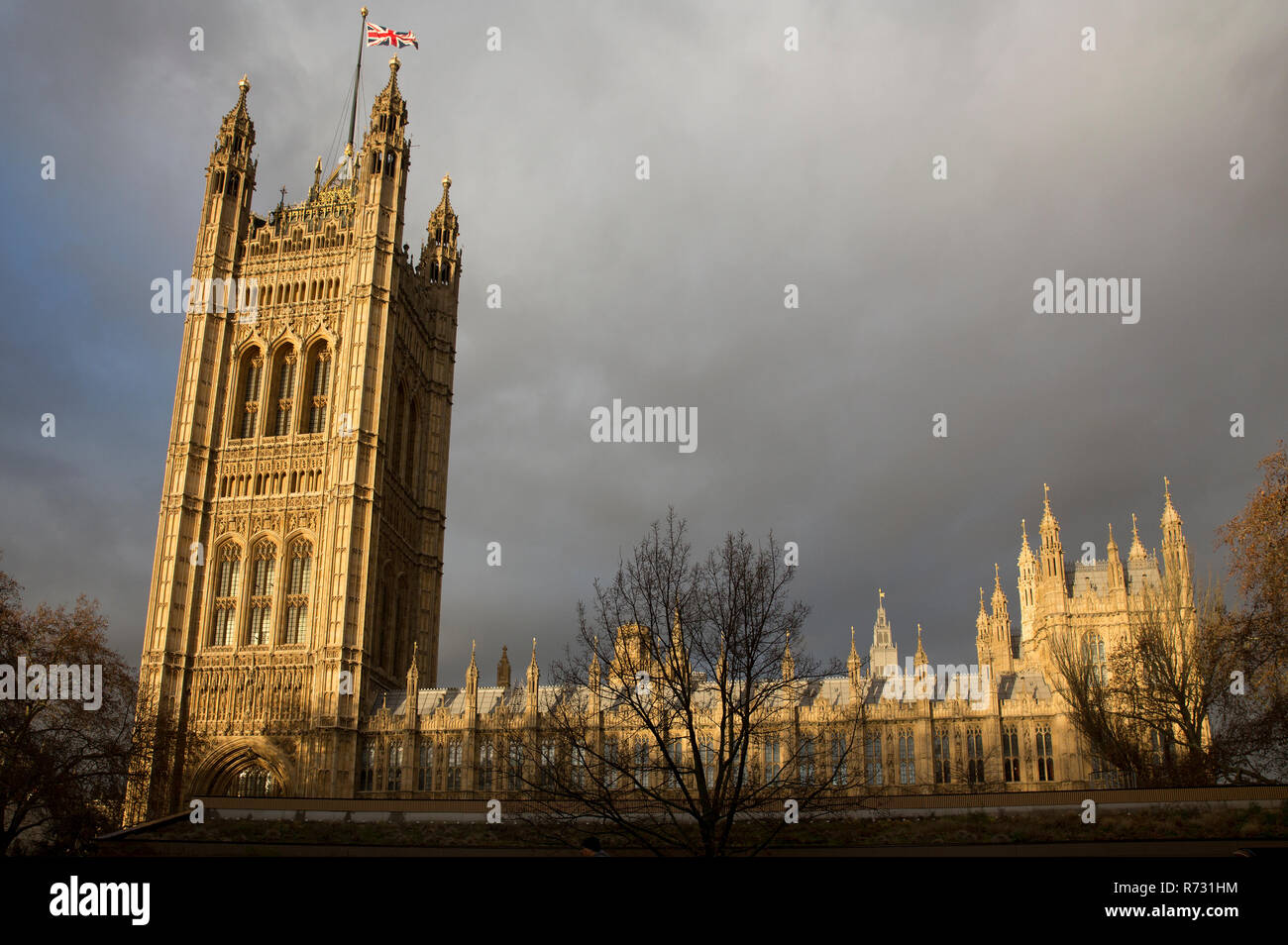 Vue sur les Maisons du Parlement de Victoria Tower Gardens contre une lumière Banque D'Images