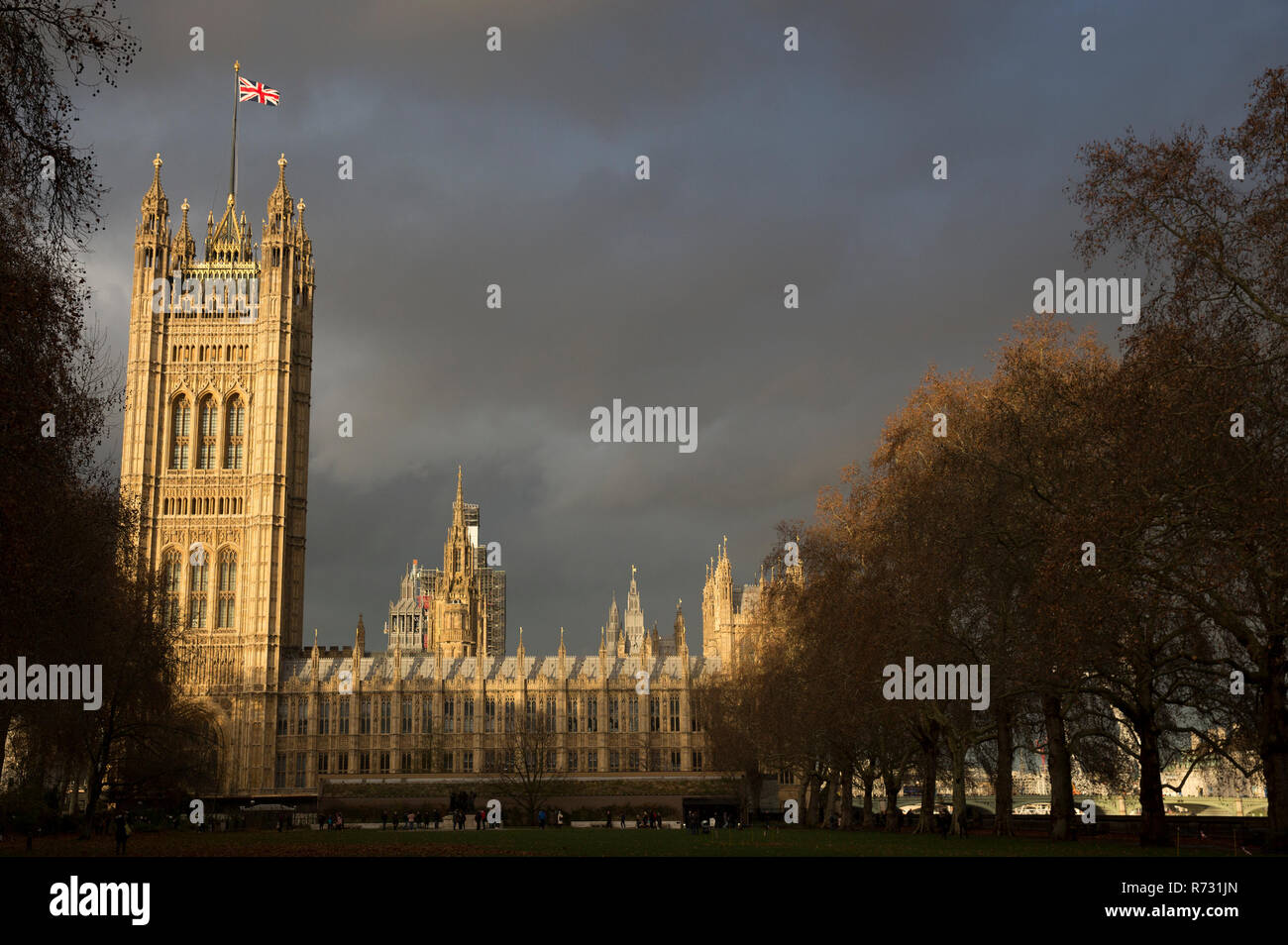 Vue sur les Maisons du Parlement de Victoria Tower Gardens contre une lumière Banque D'Images