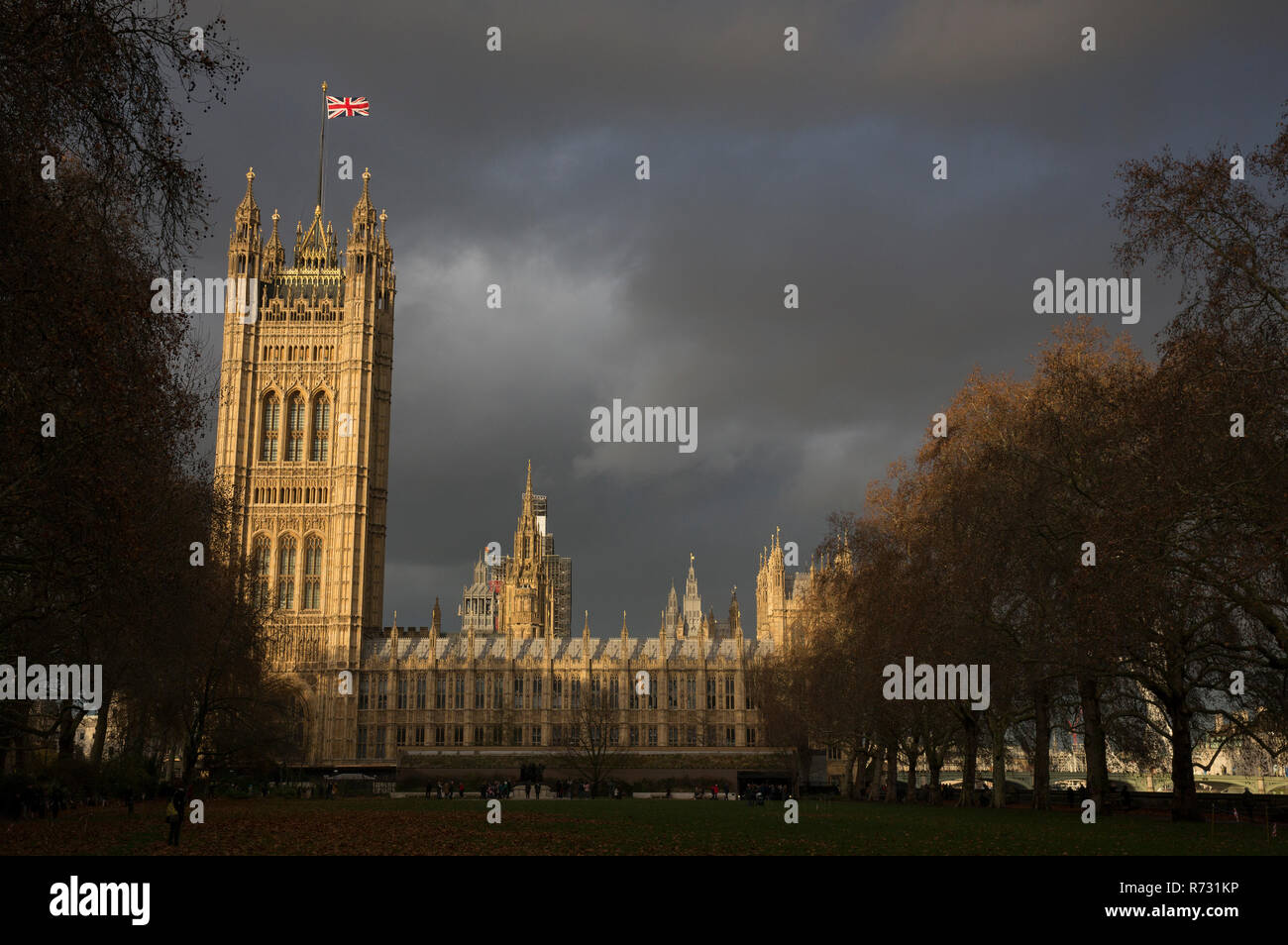 Vue sur les Maisons du Parlement de Victoria Tower Gardens contre une lumière Banque D'Images
