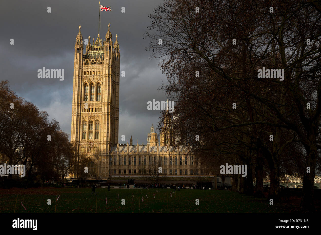 Vue sur les Maisons du Parlement de Victoria Tower Gardens contre une lumière Banque D'Images